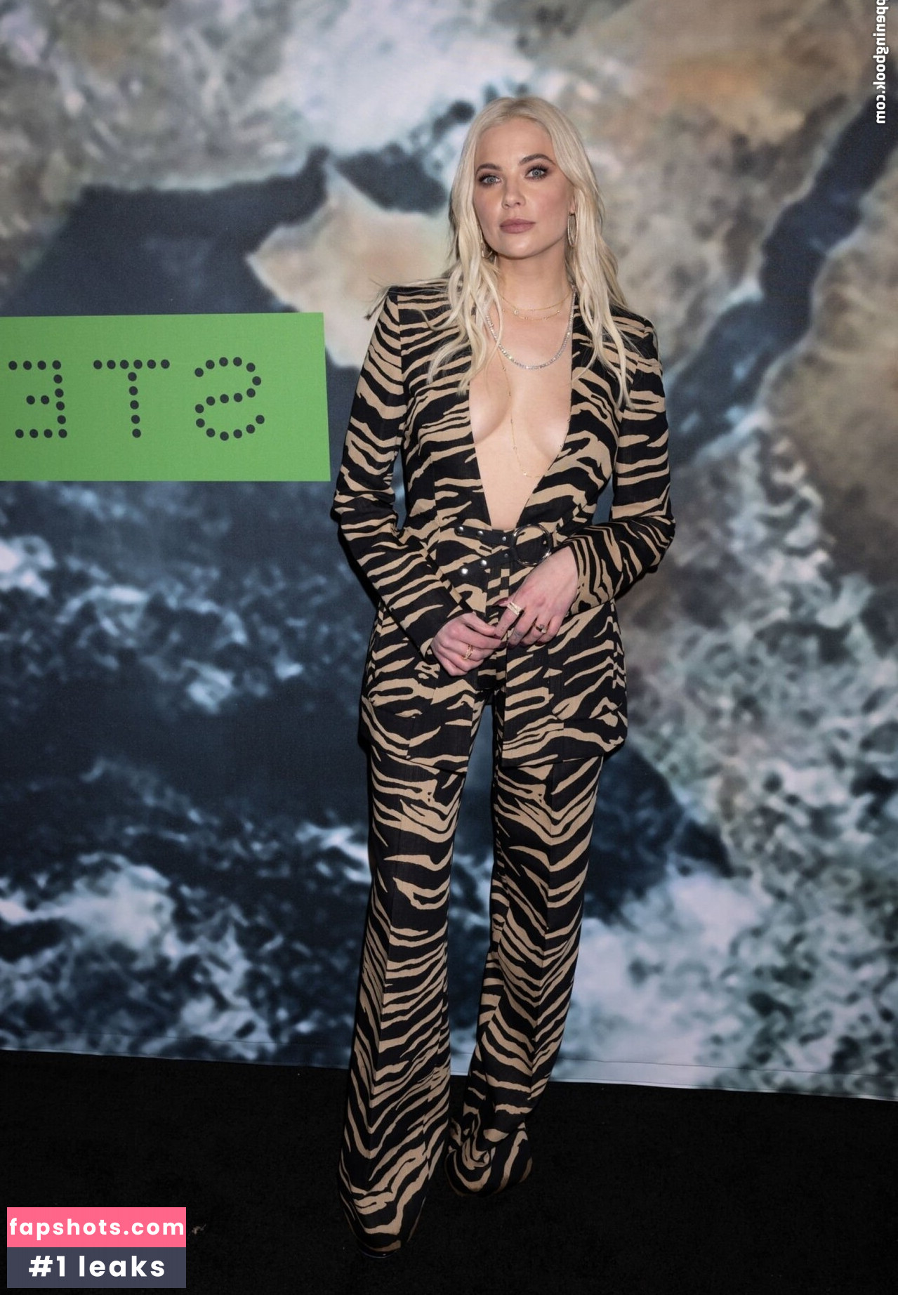 Ashley Benson Nude Leaks OnlyFans Photos #733 - LeakJerk