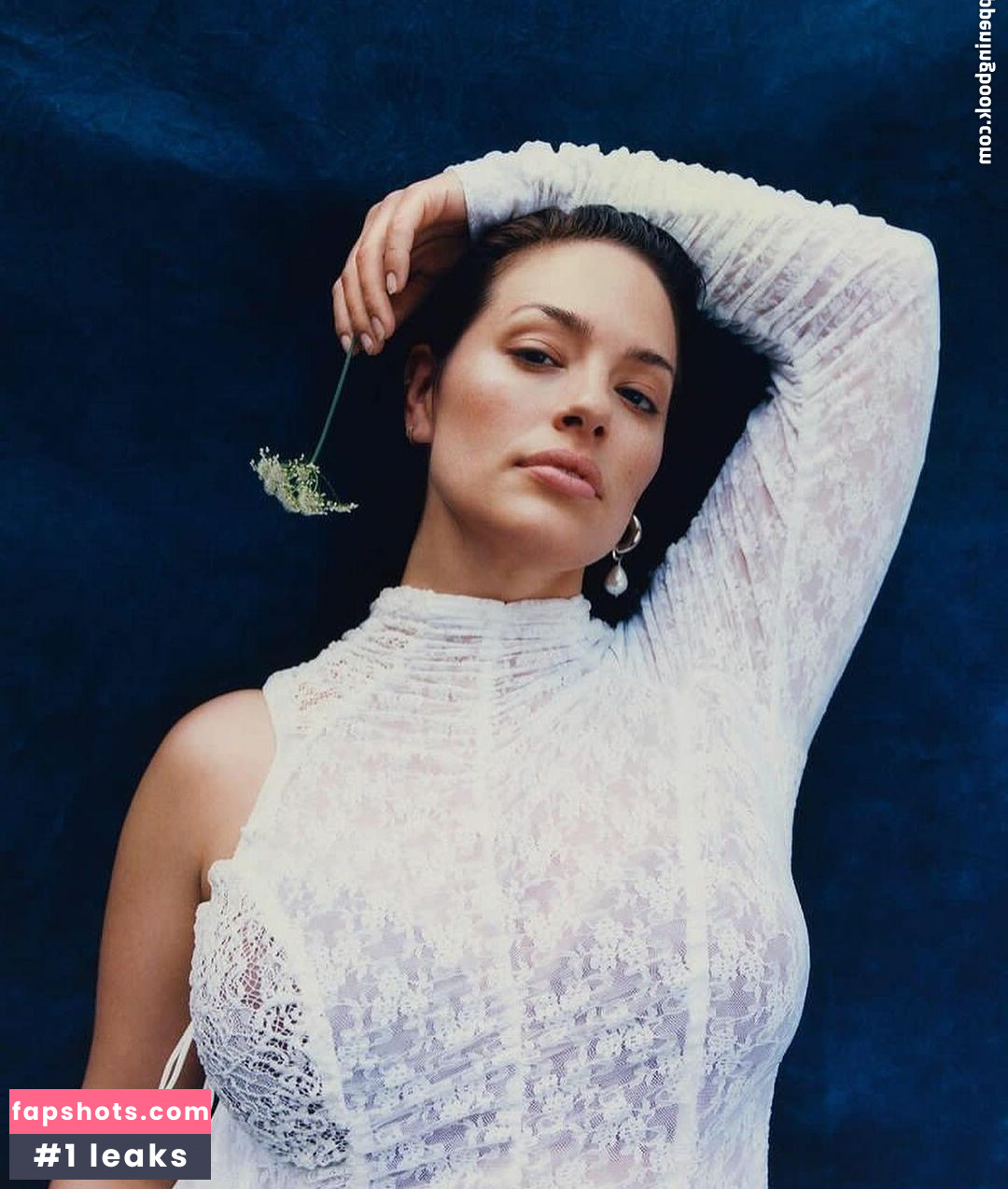 Ashley Graham gallery photo #270