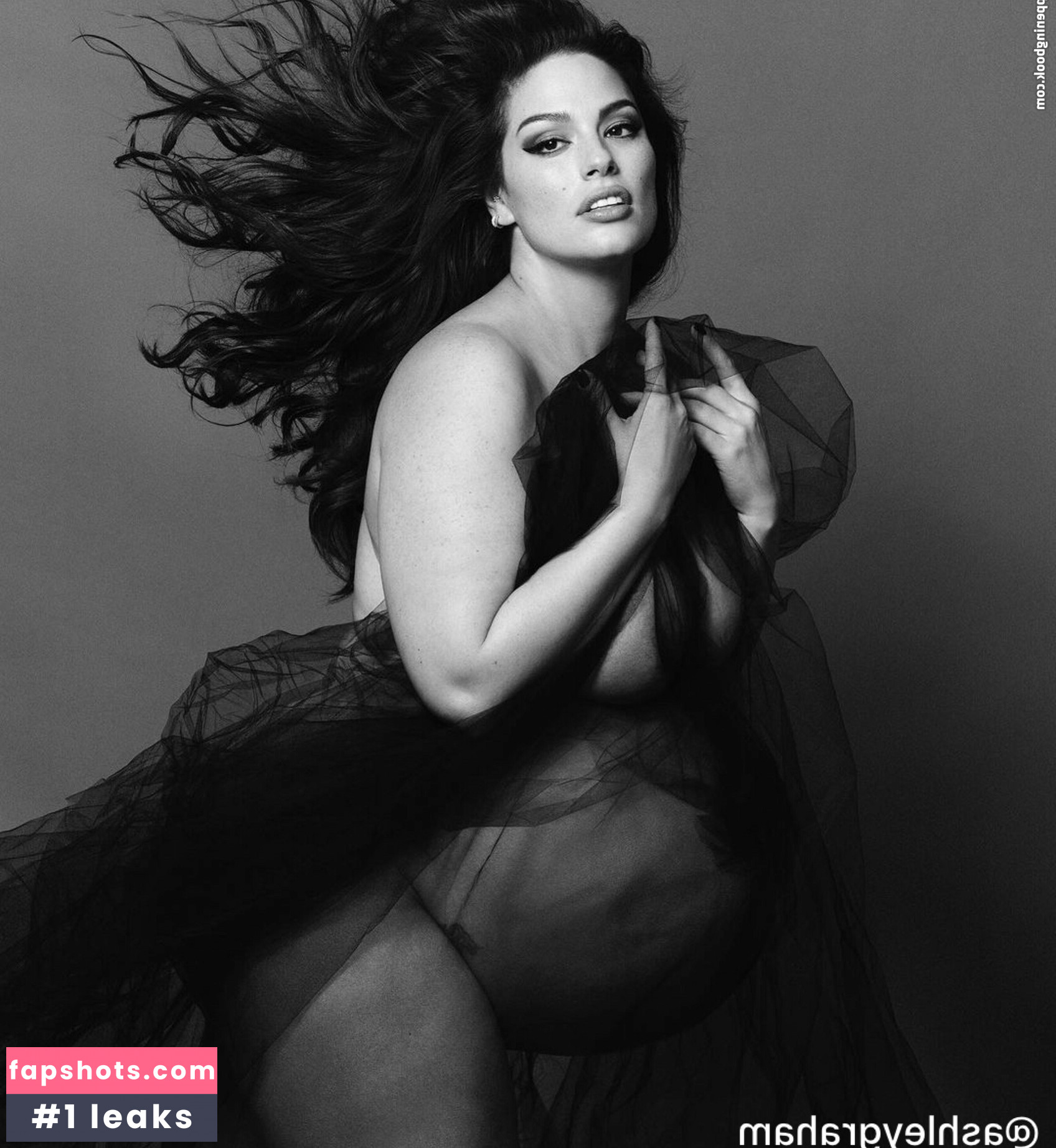 Ashley Graham gallery photo #363