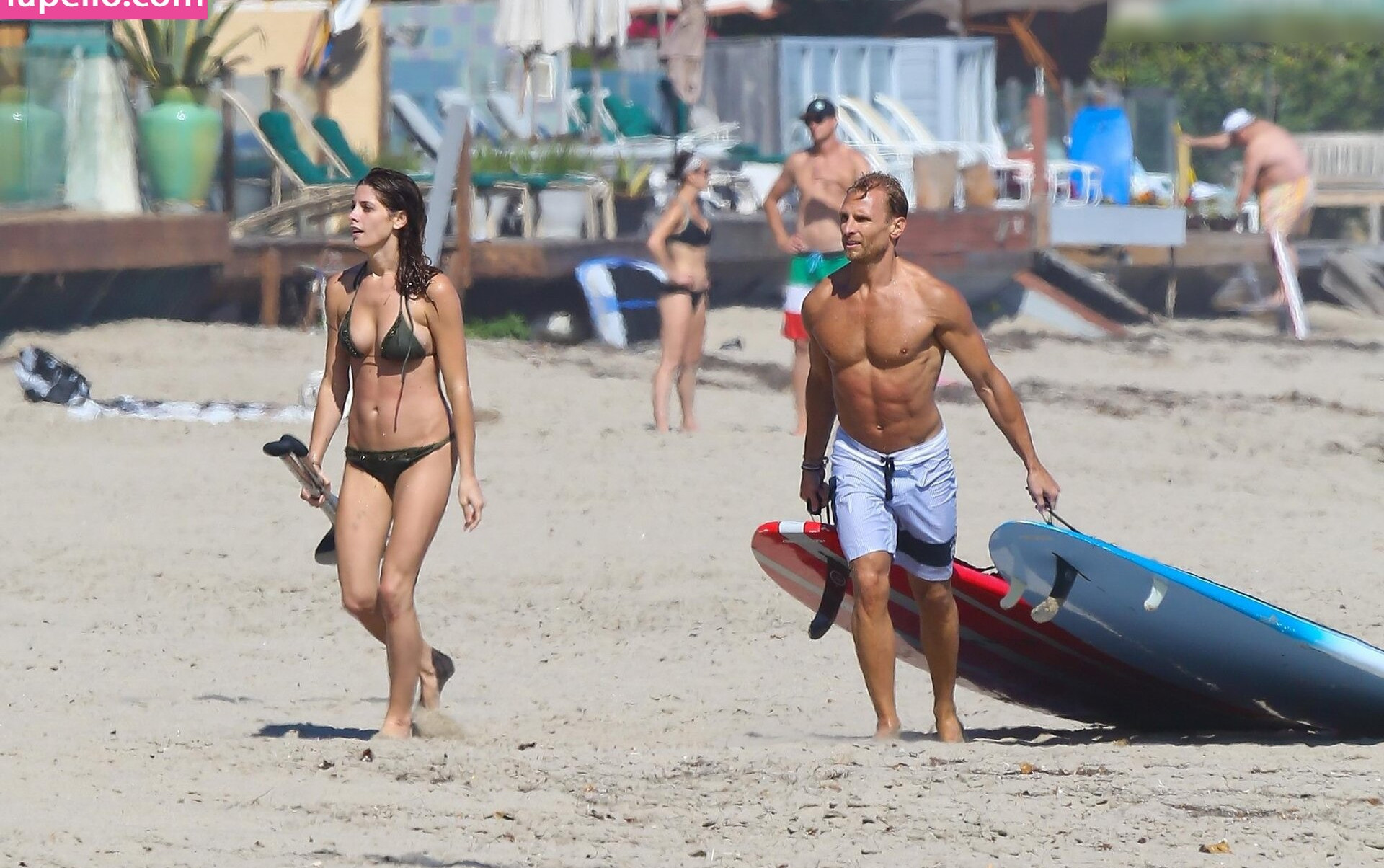 ashley-greene gallery photo #34