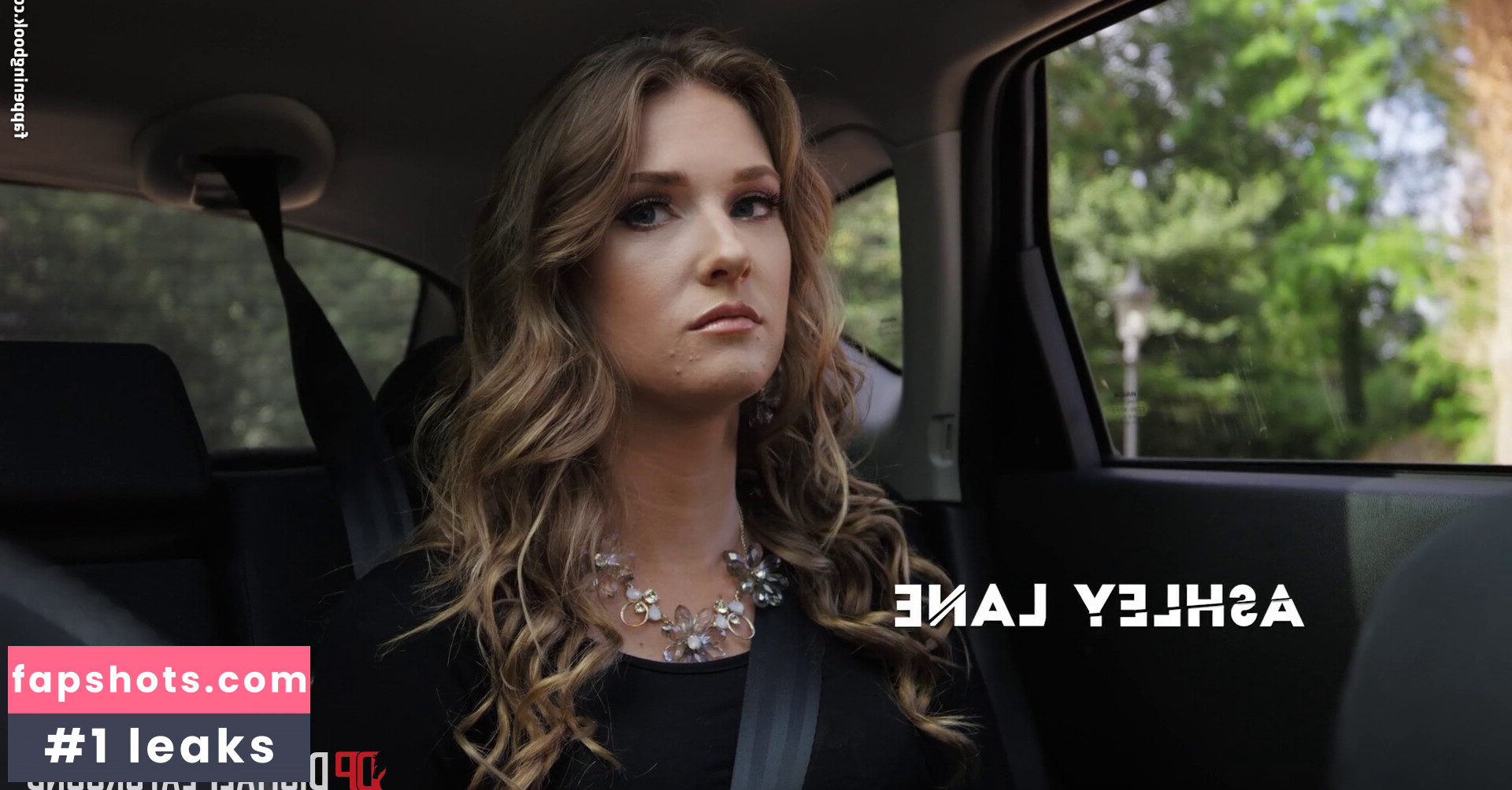 Ashley Lane gallery photo #12