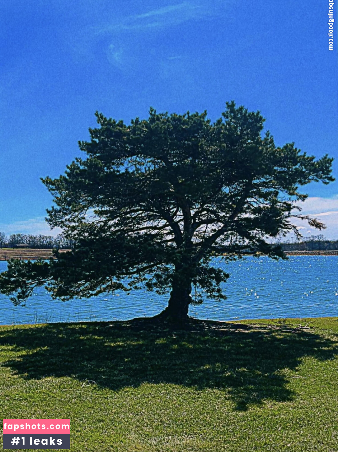 ashleyyy597 gallery photo #14