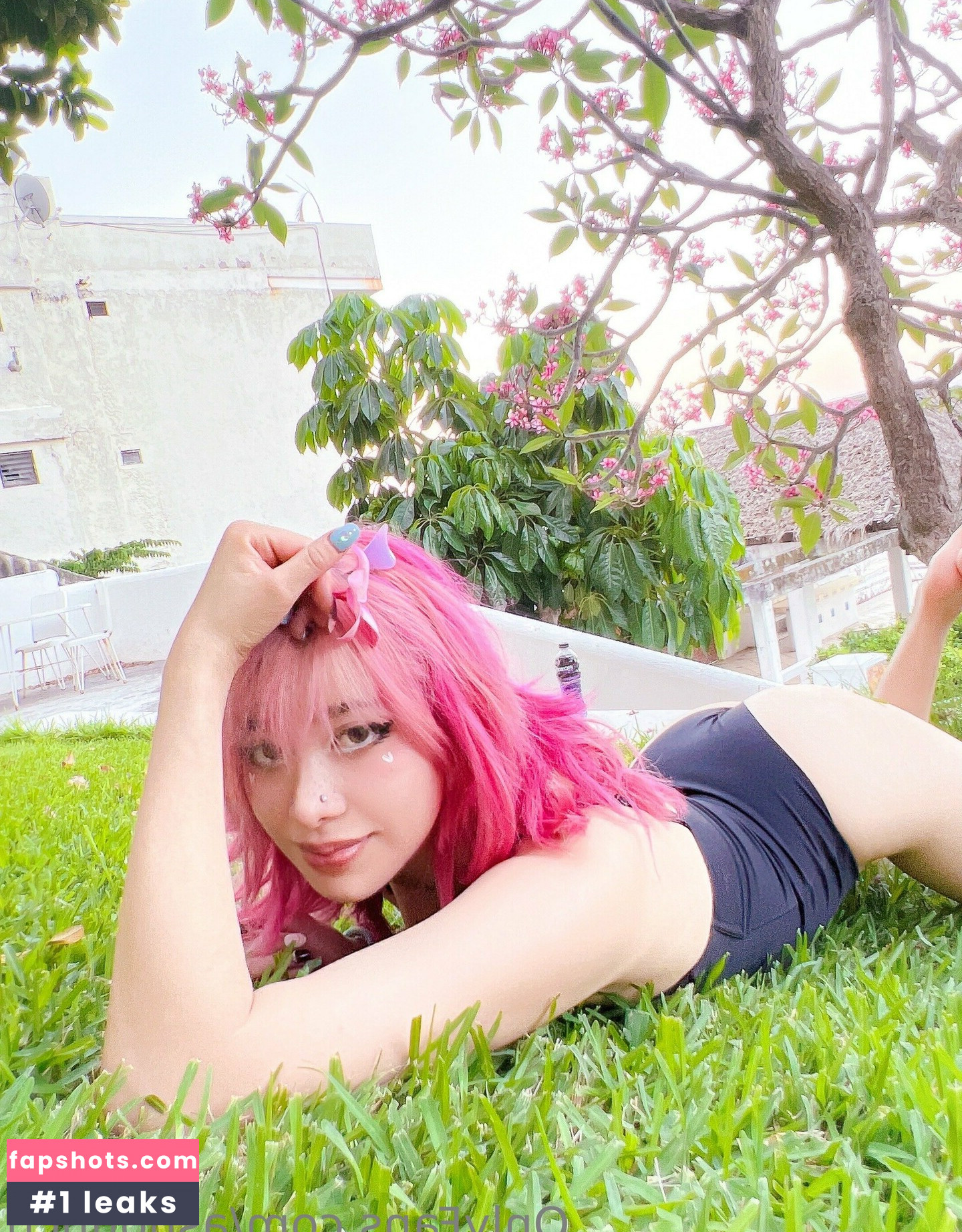 Ashounch gallery photo #169