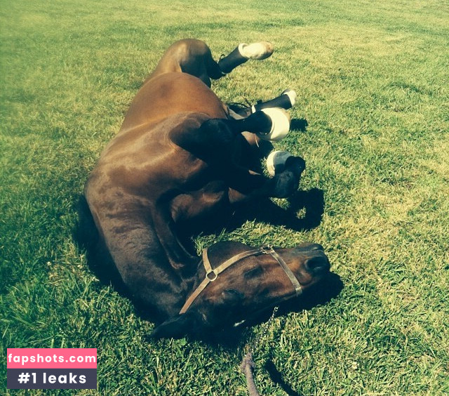 Ashton Hatchell gallery photo #6