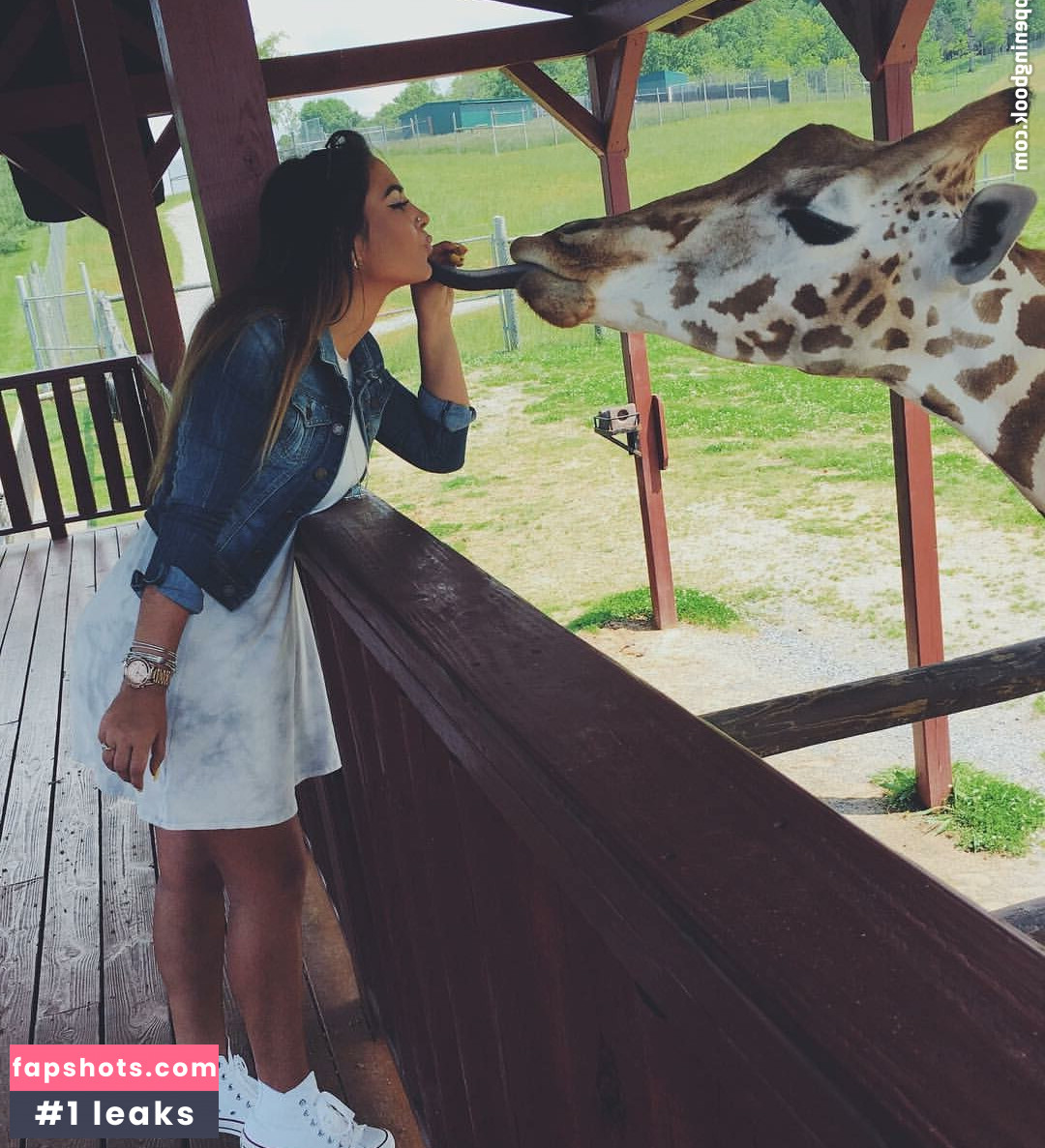 Ashton Hatchell gallery photo #8