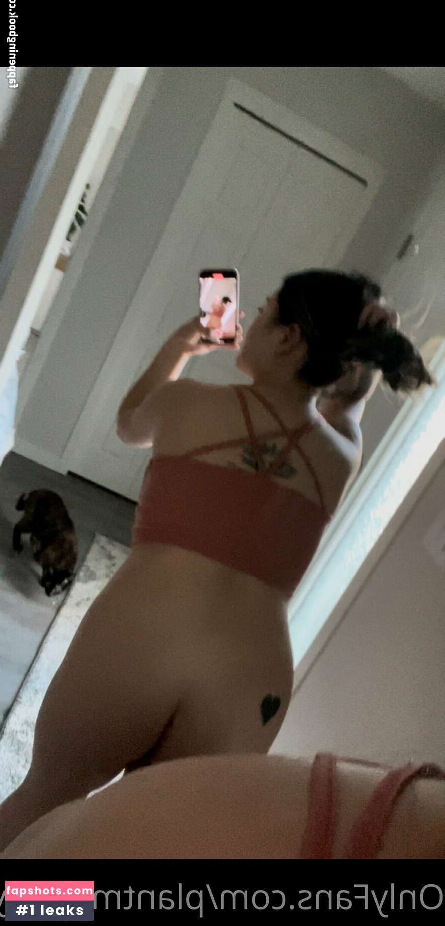 asia.asahi gallery photo #18