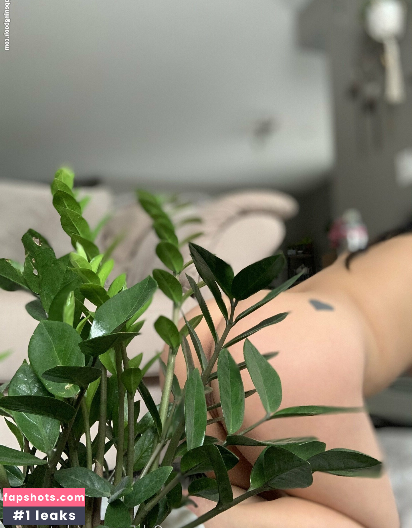 asia.asahi gallery photo #7