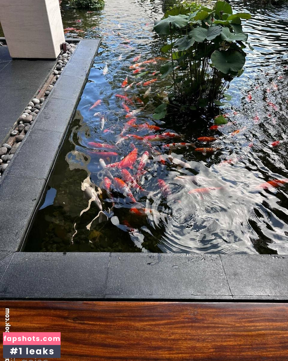 asian_lili gallery photo #24