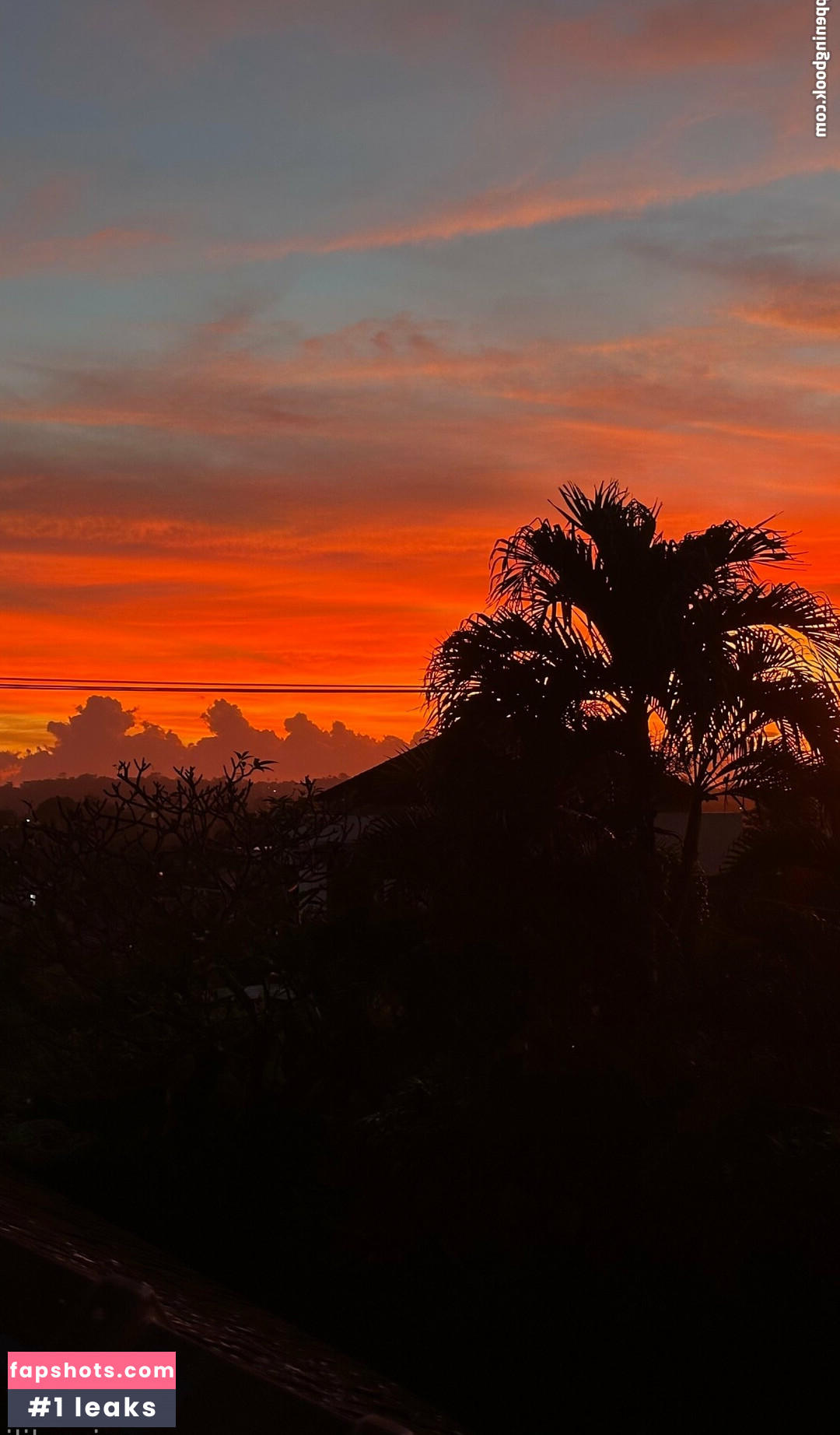 asian_lili gallery photo #25