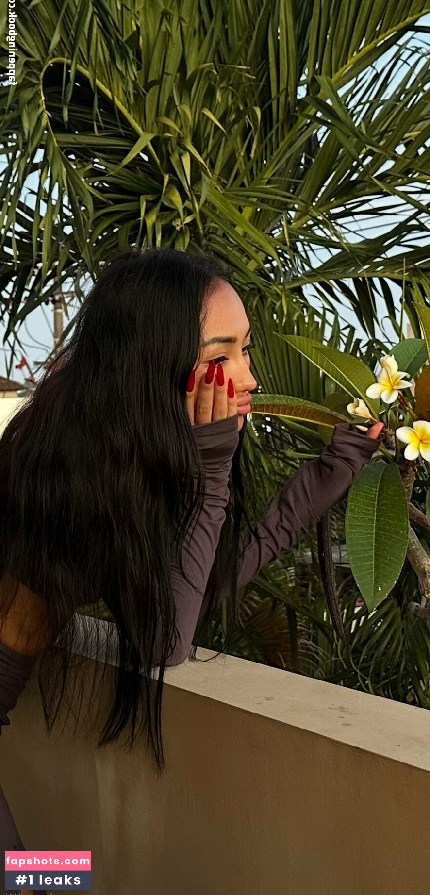 asian_lili gallery photo #31