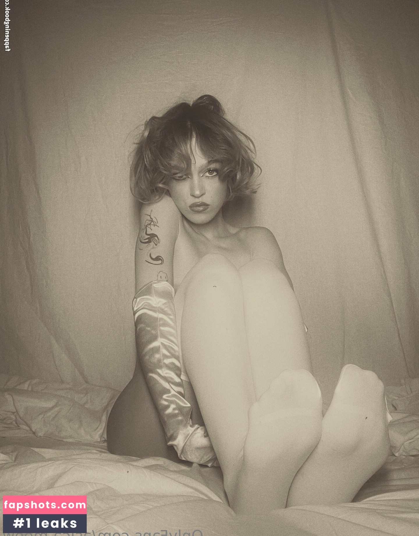 asica.meow gallery photo #40