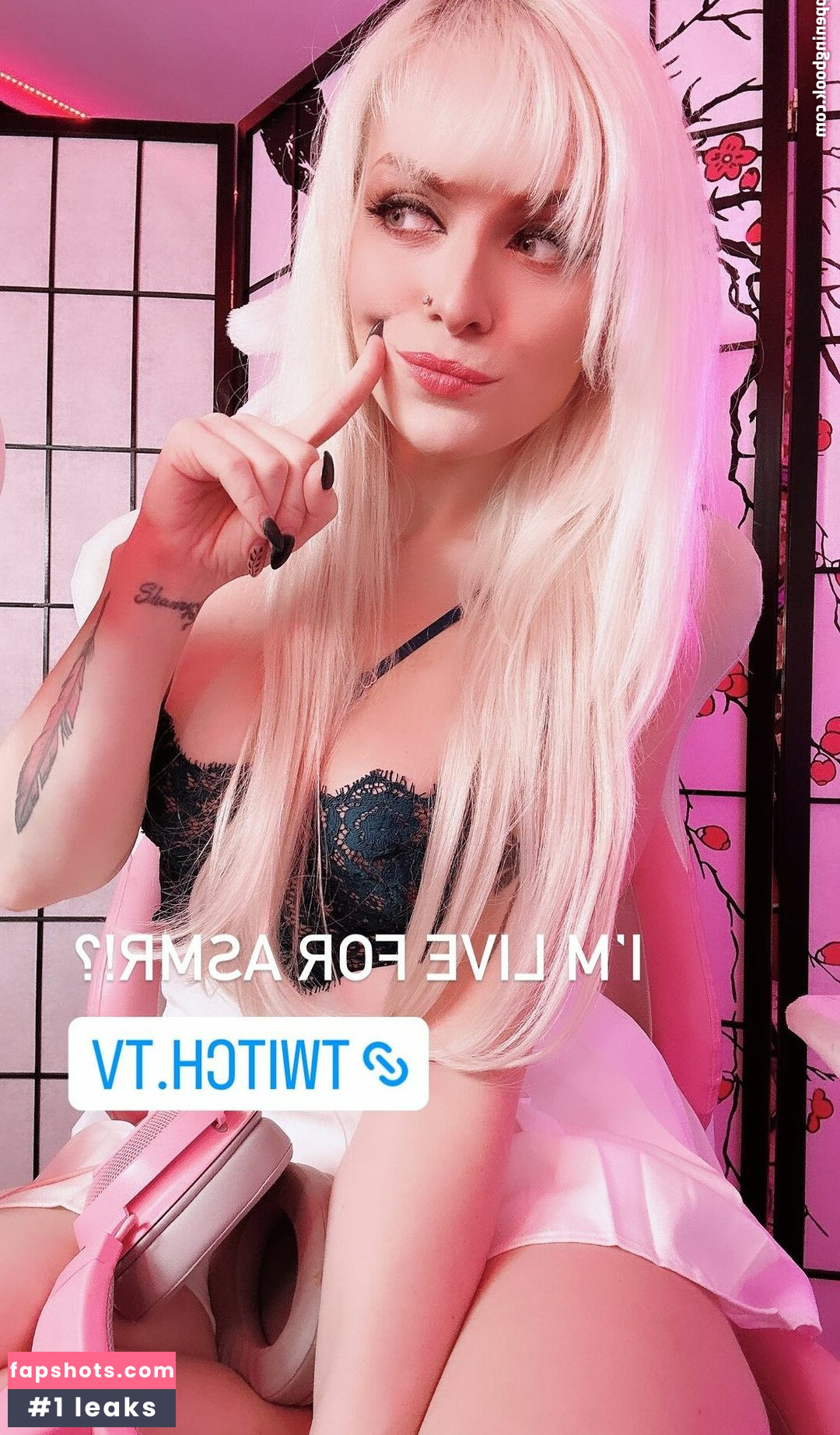 ASMR Shanny gallery photo #29