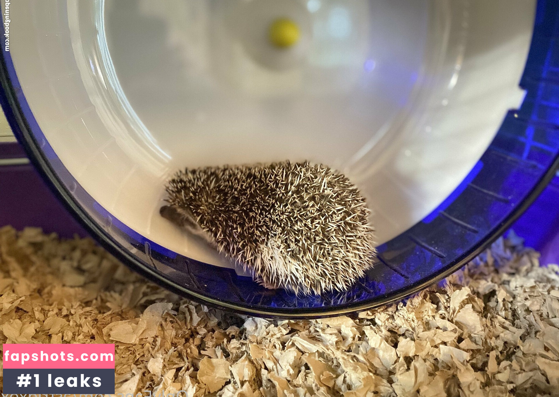 astridxox Nahé úniky fotek pouze od fanoušků #9 - Fapshots