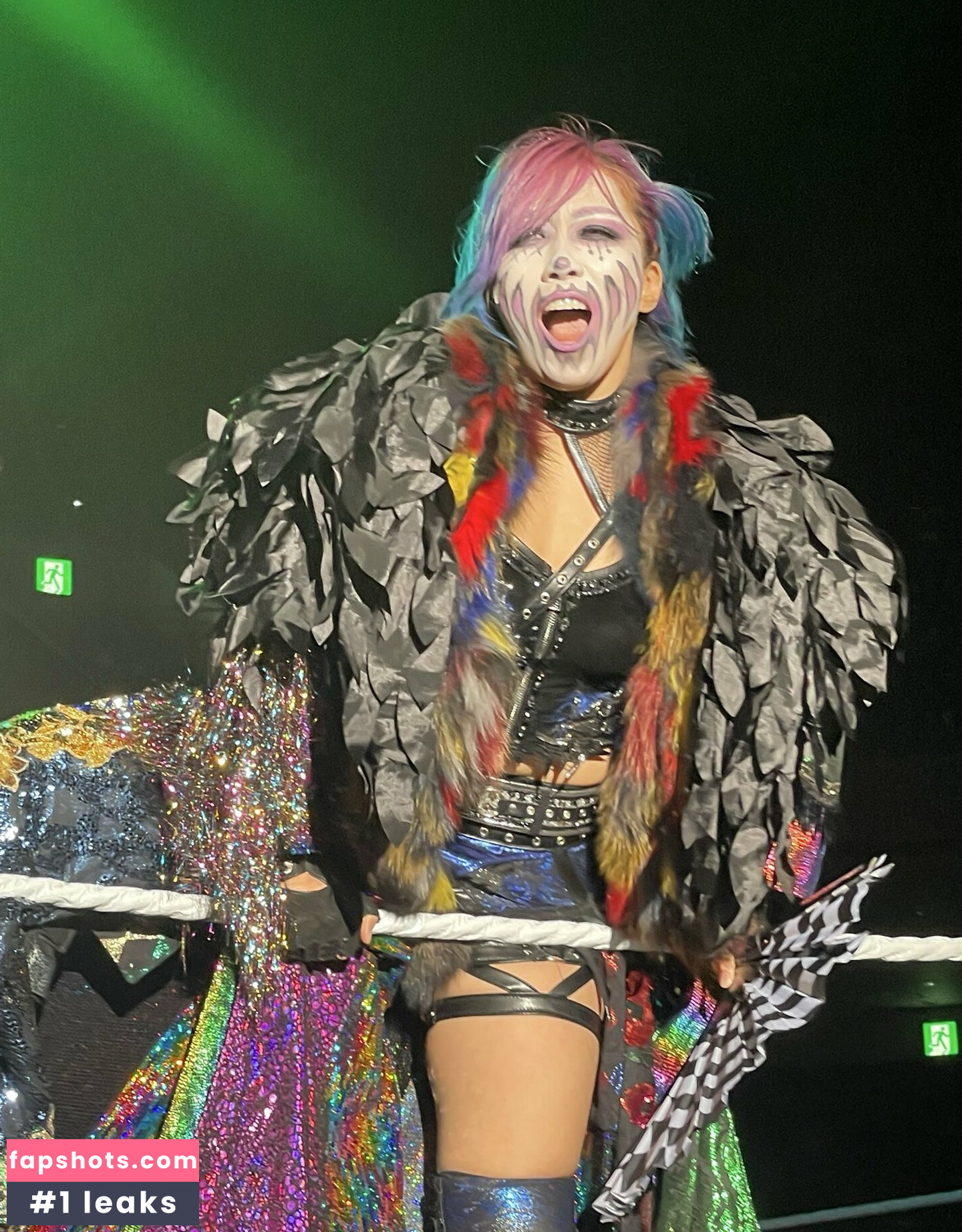 Asuka WWE Filtración Desnuda OnlyFans Foto #16 - Fapshots