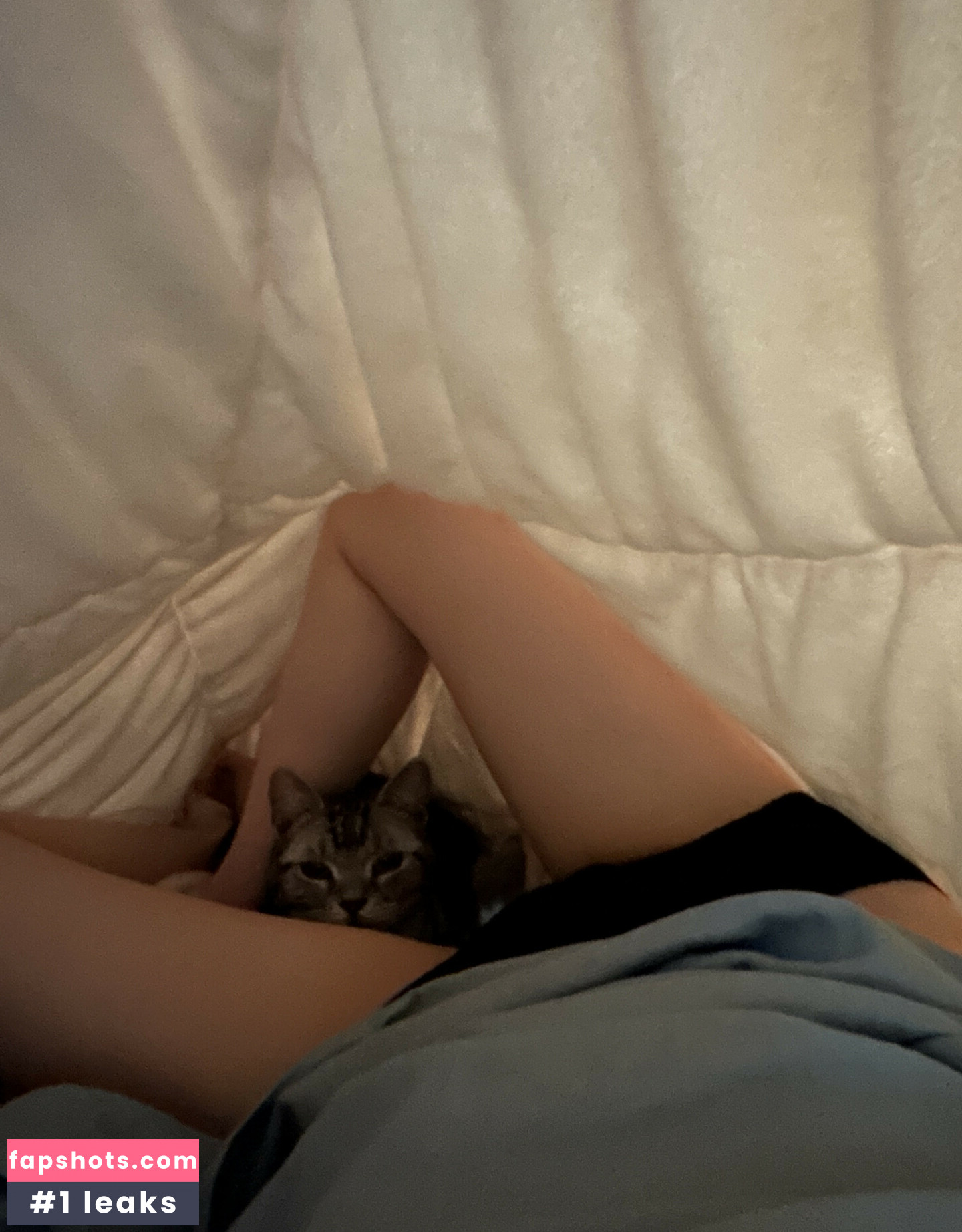 asuna gallery photo #98