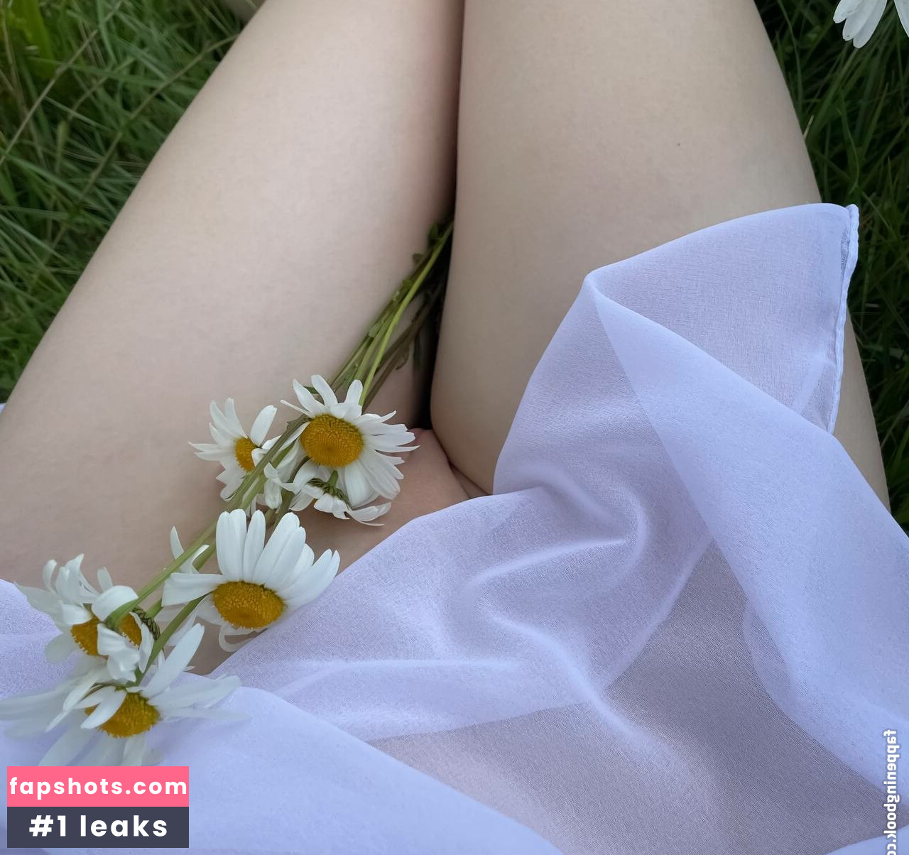 asyapixie gallery photo #16