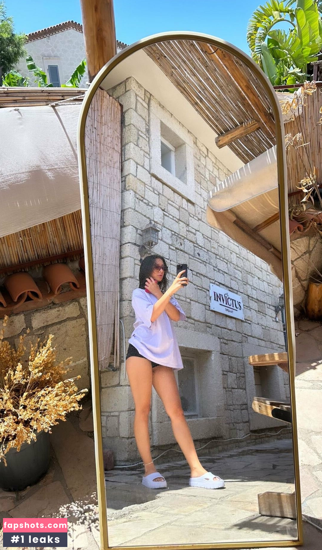 Atavratmiyav gallery photo #20