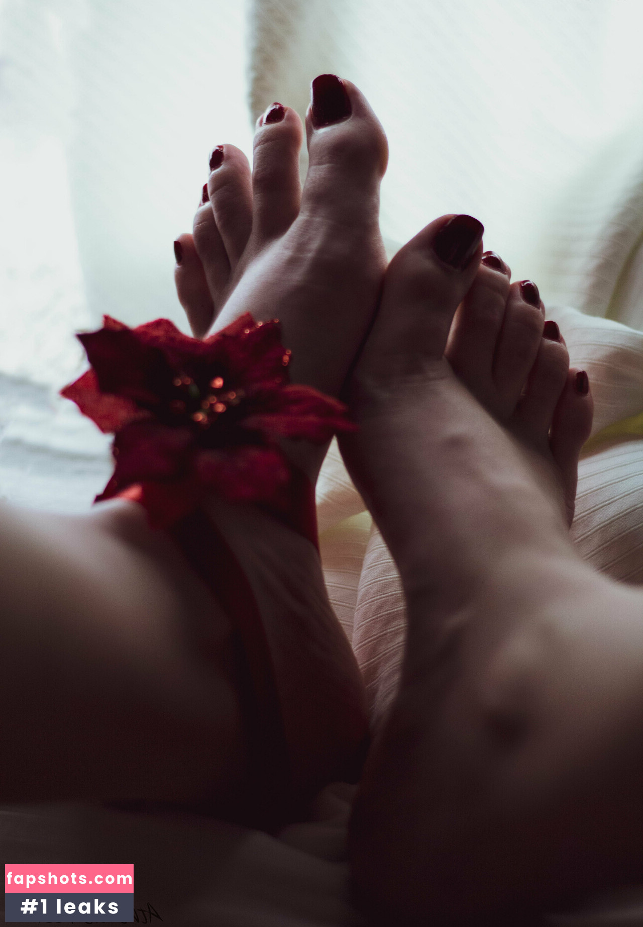 athenasf33t gallery photo #13