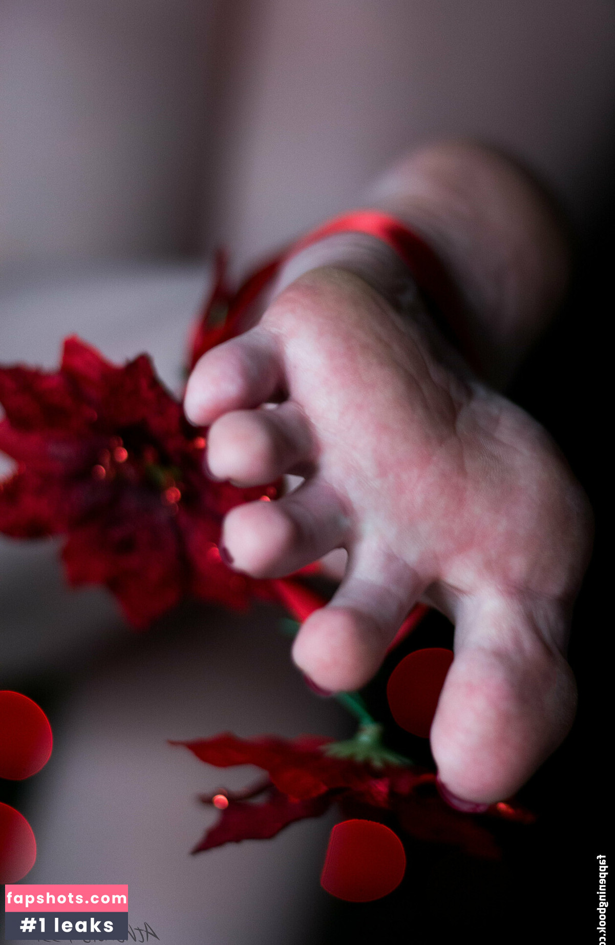 athenasf33t gallery photo #14