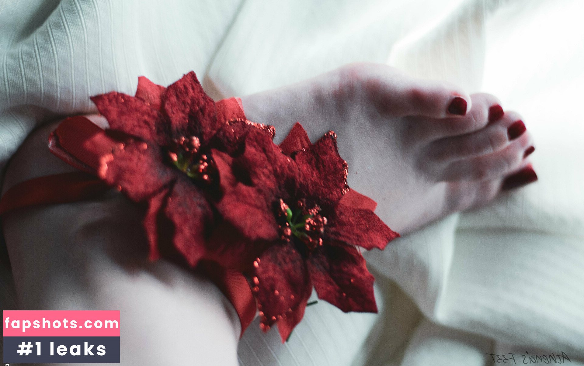 athenasf33t gallery photo #3