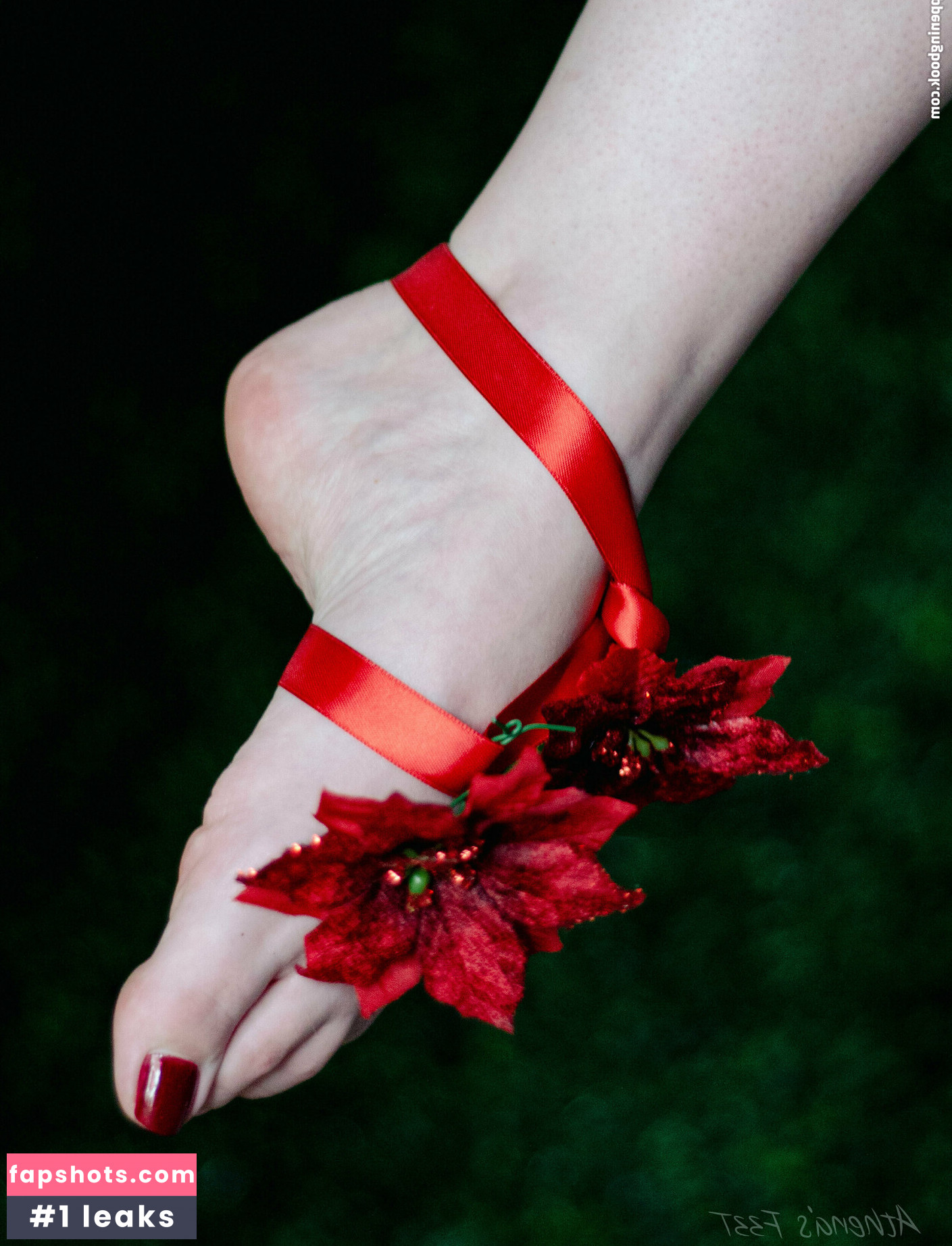 athenasf33t gallery photo #5