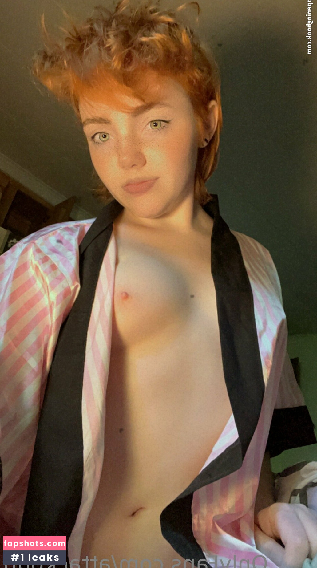 attackpup Nacktheit OnlyFans Fotos #13 - Fapshots