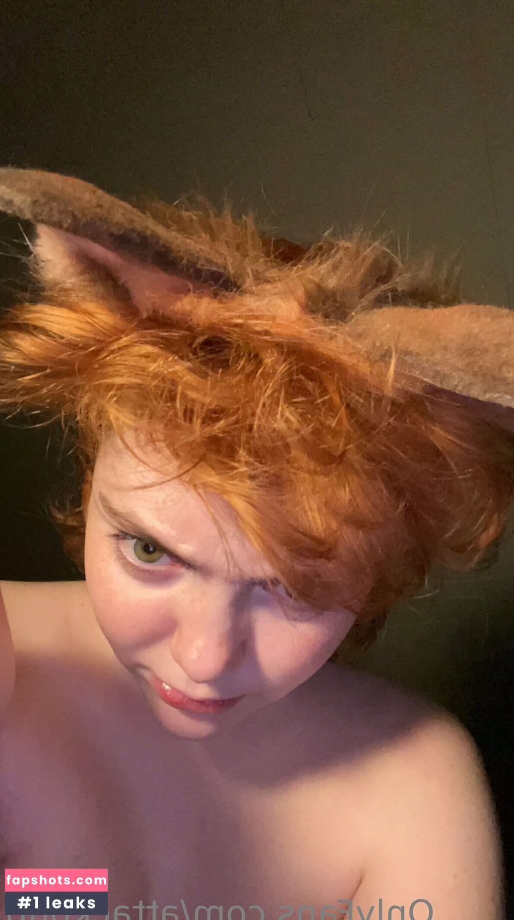 attackpup Nacktheit OnlyFans Fotos #19 - Fapshots