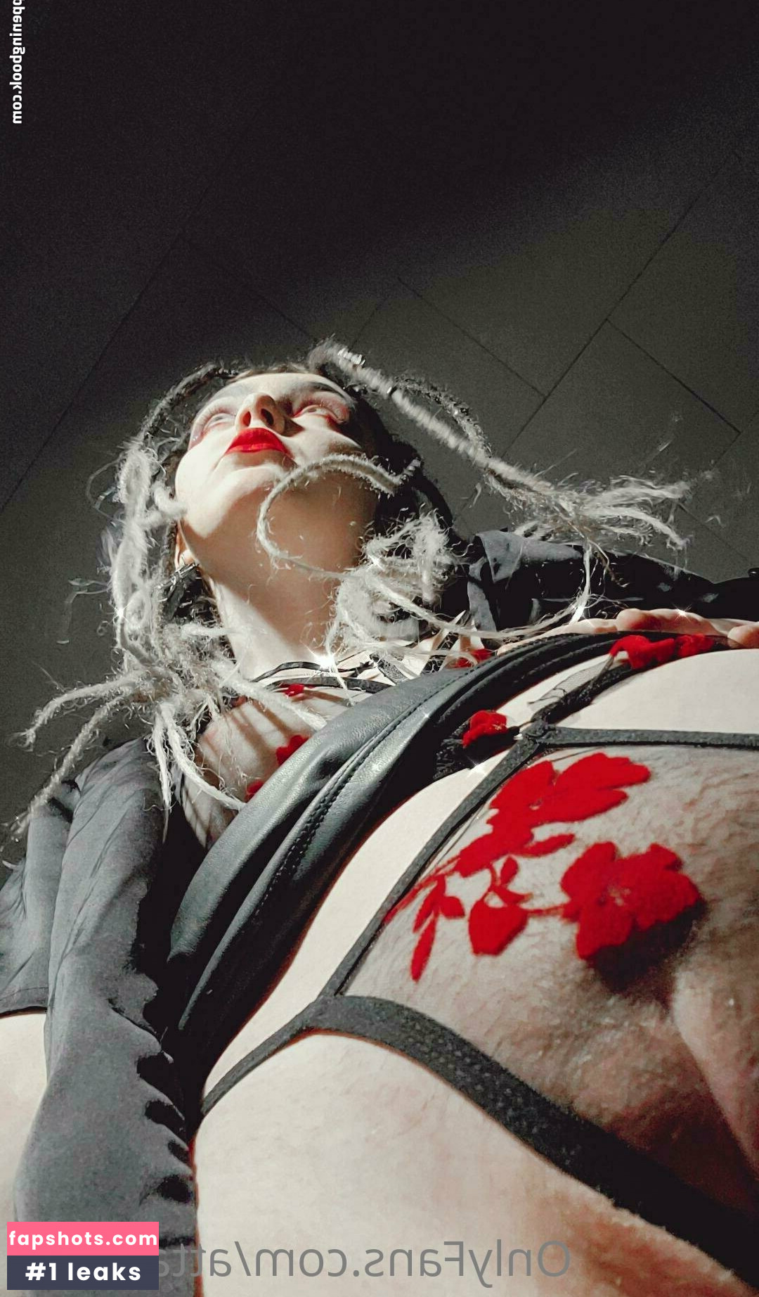 attackpup Nacktheit OnlyFans Fotos #26 - Fapshots