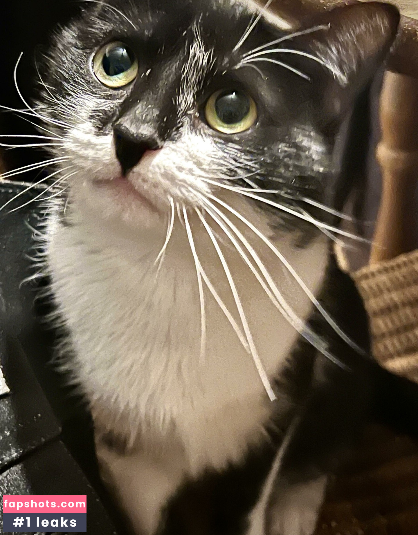 Aubree gallery photo #16