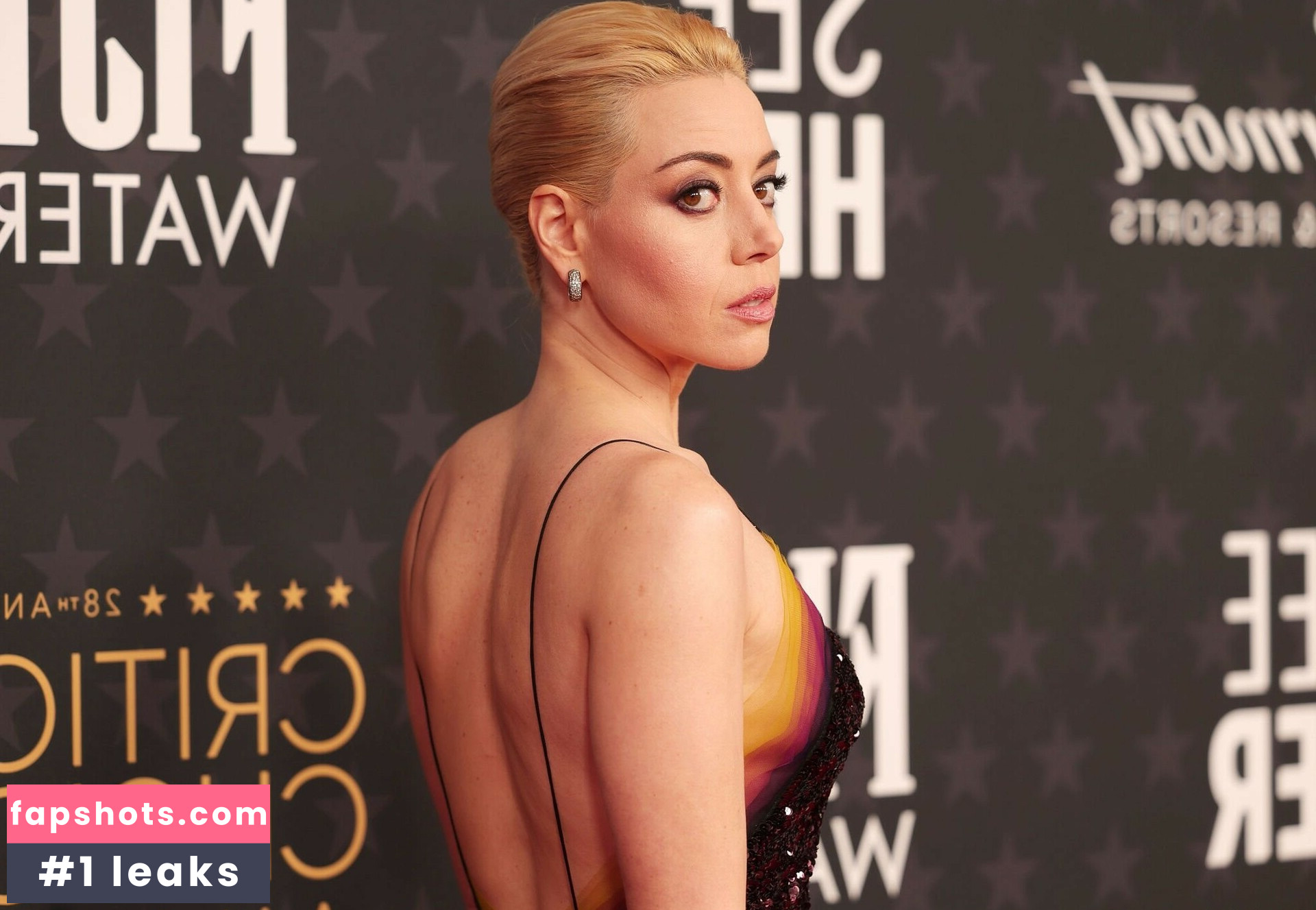 Aubrey Plaza Filtración Desnuda OnlyFans Foto #429 - Fapshots