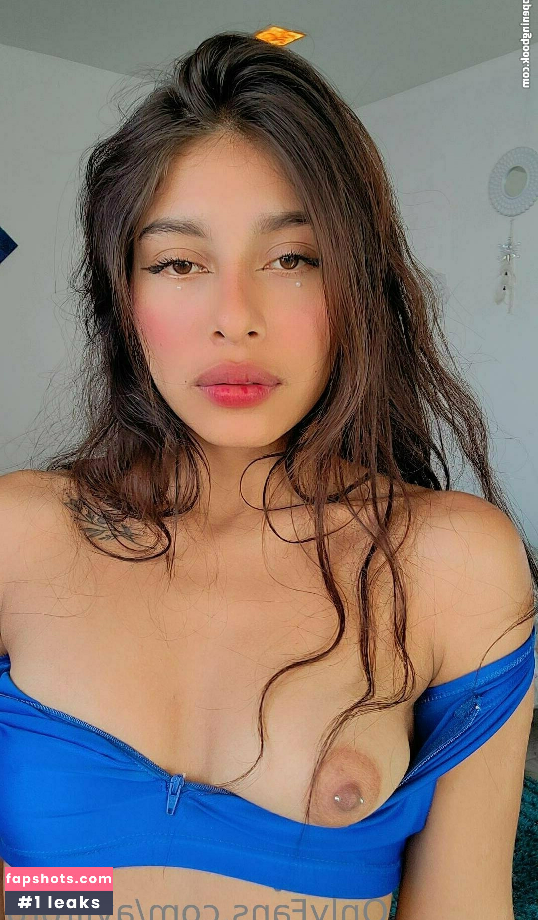 aviltoro gallery photo #13