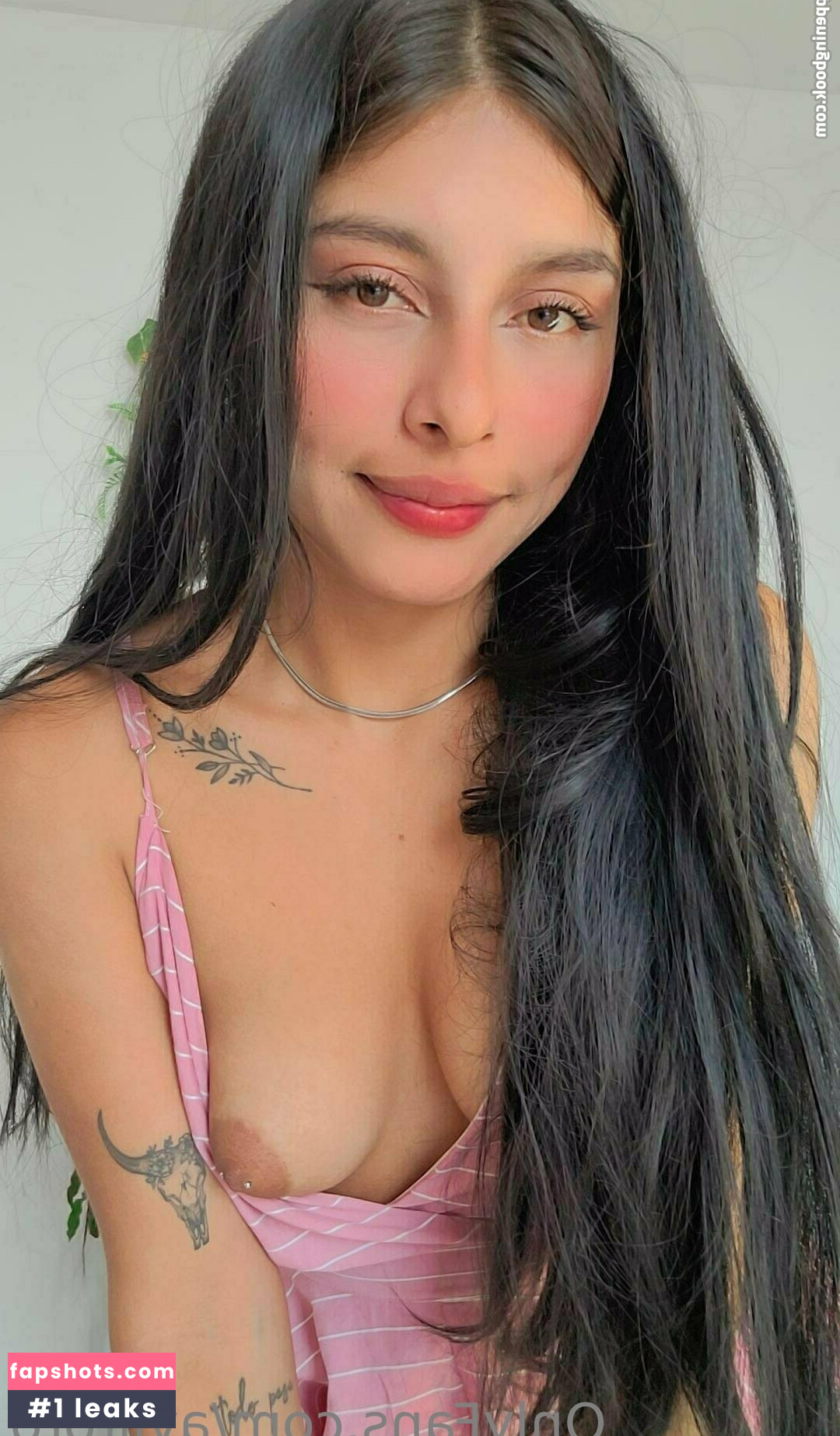 aviltoro gallery photo #28