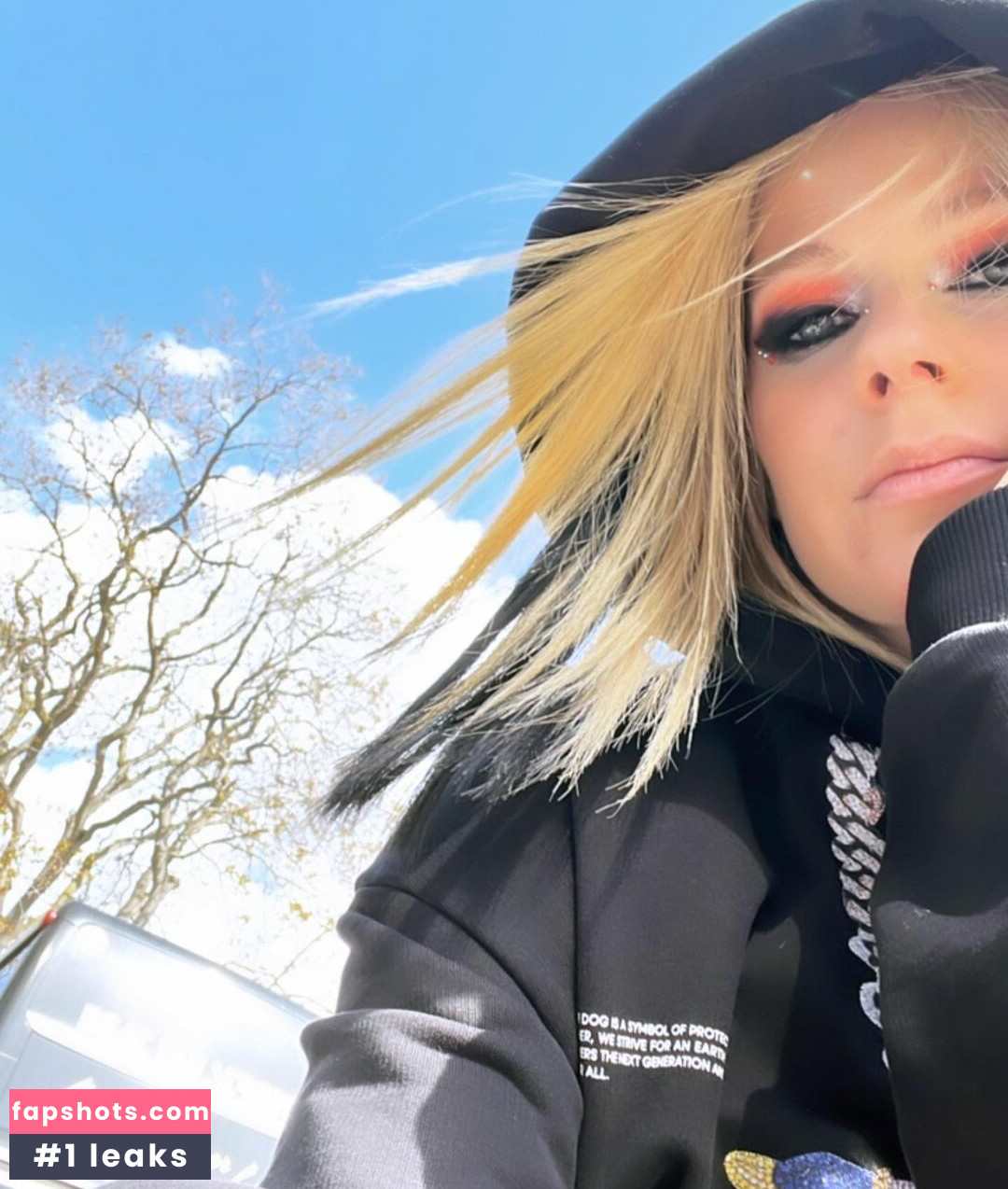 Avril Lavigne Nude Leaks OnlyFans Photos #380 - LeakJerk