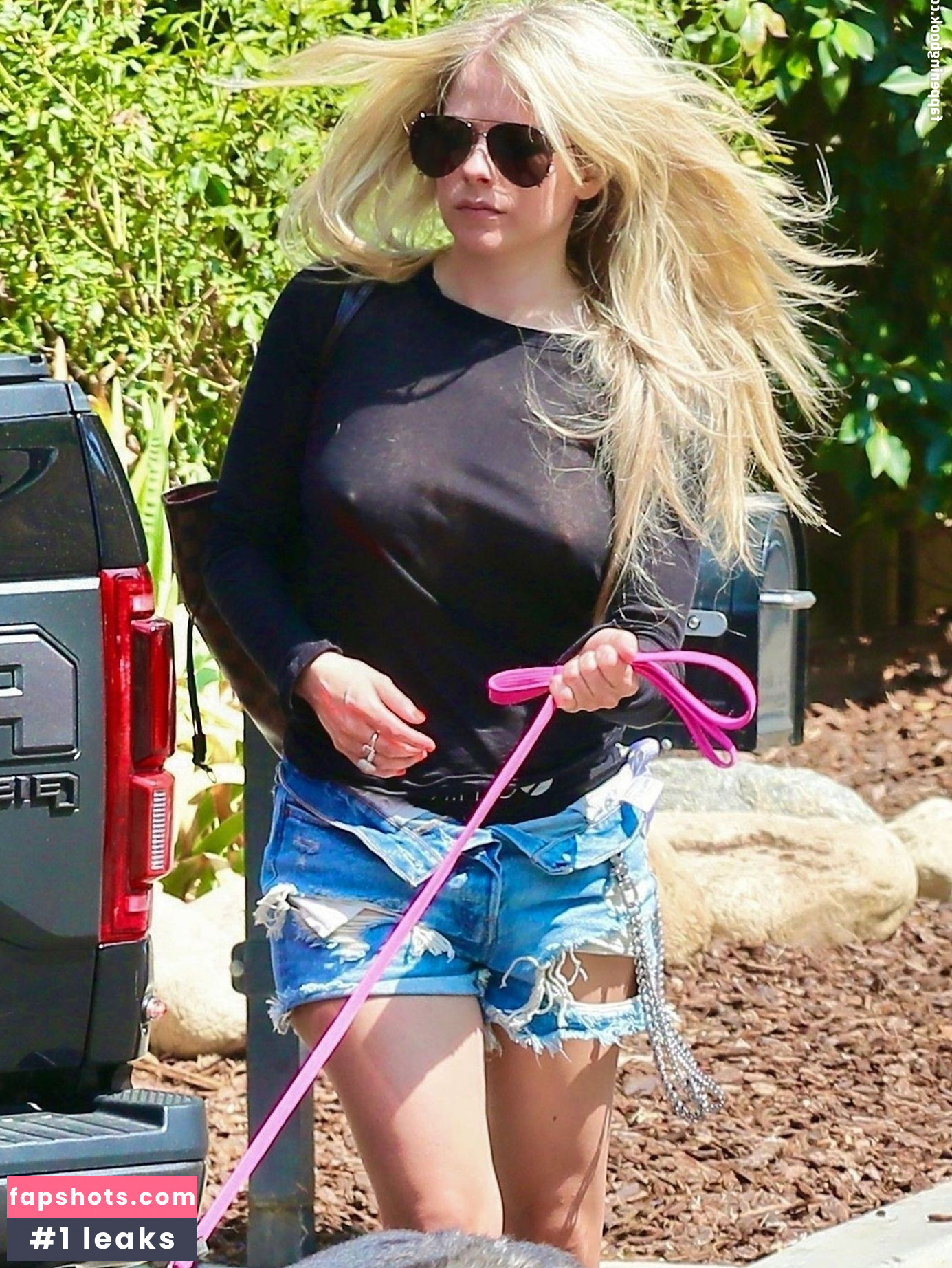 Avril Lavigne Nude Leaks OnlyFans Photos #705 - LeakJerk