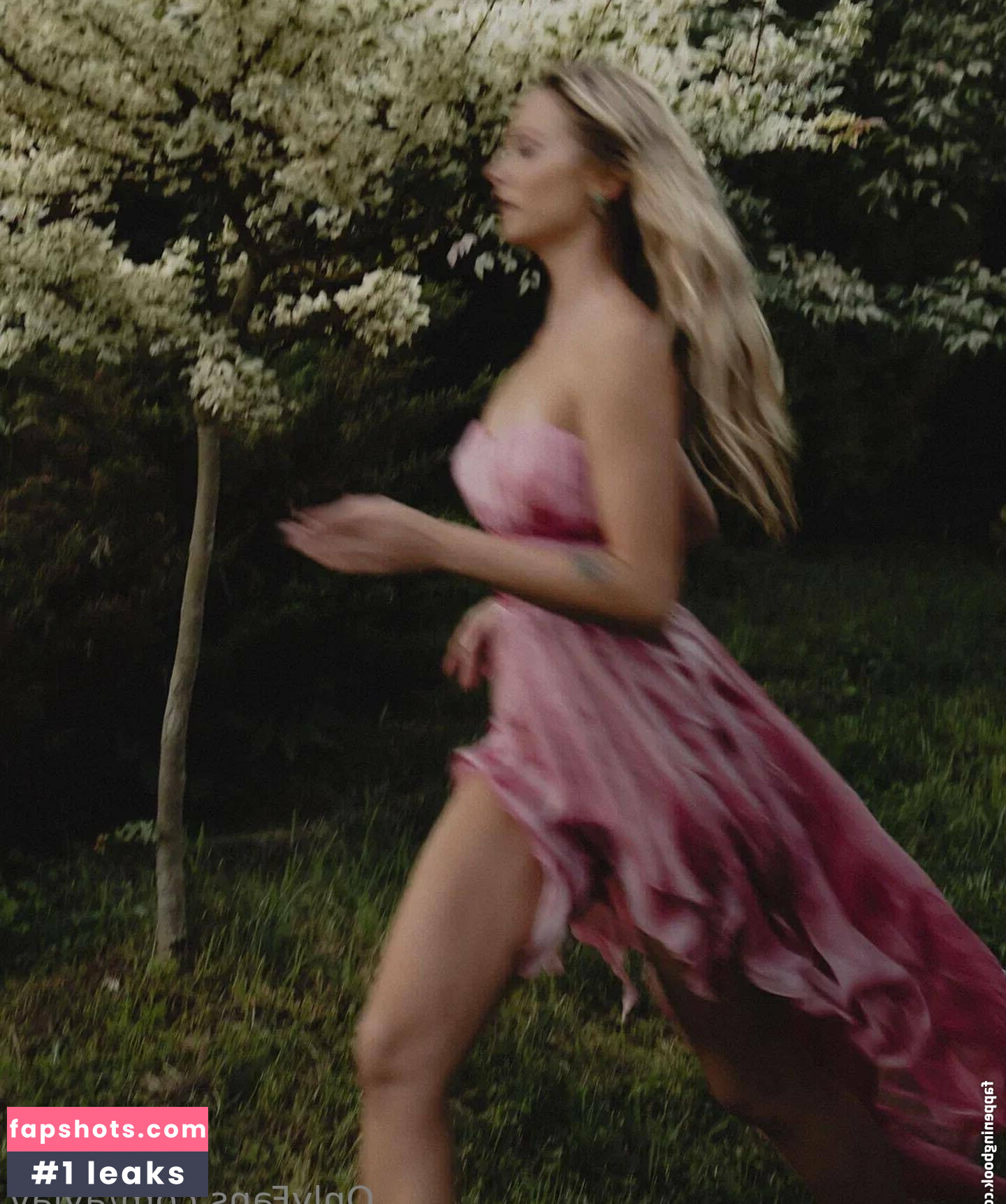 aylav gallery photo #11