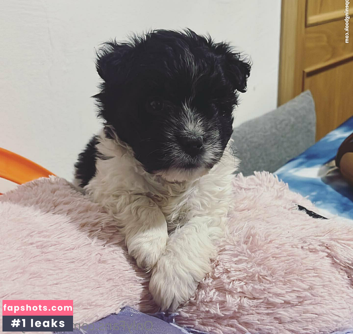 azucarysal Nahé úniky fotek pouze od fanoušků #15 - Fapshots