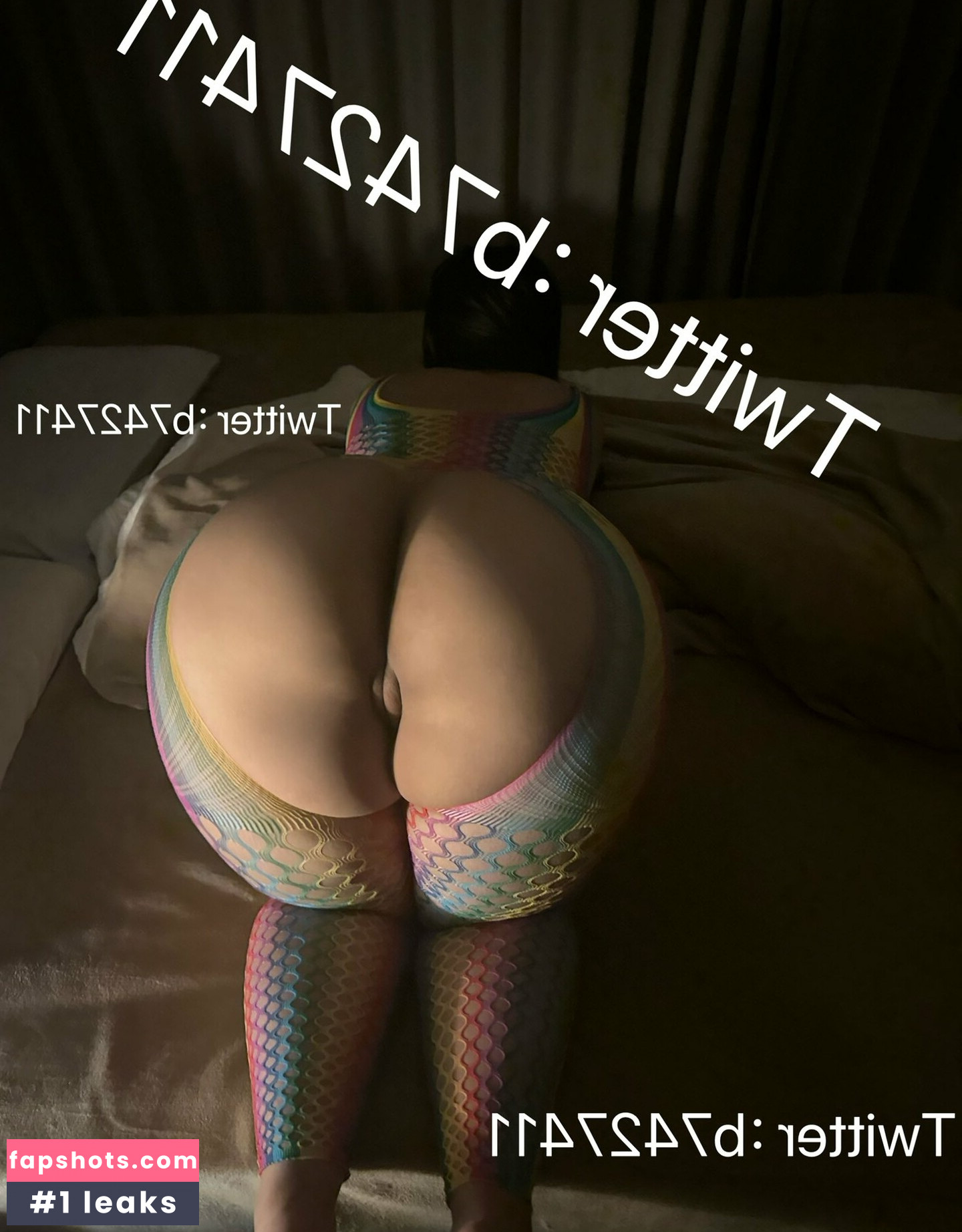 B742741 gallery photo #26