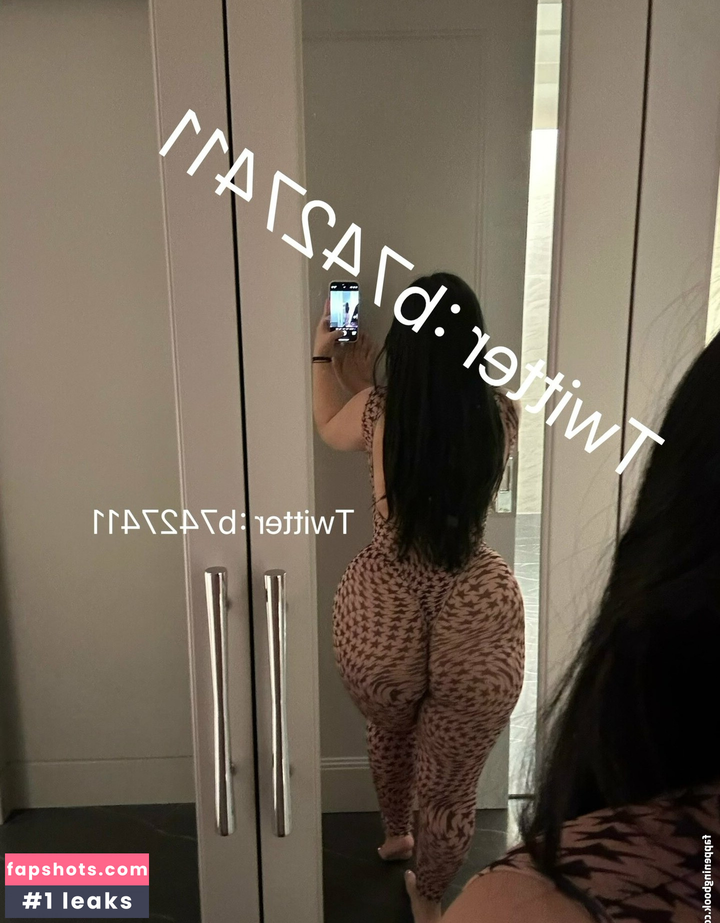 B742741 gallery photo #31