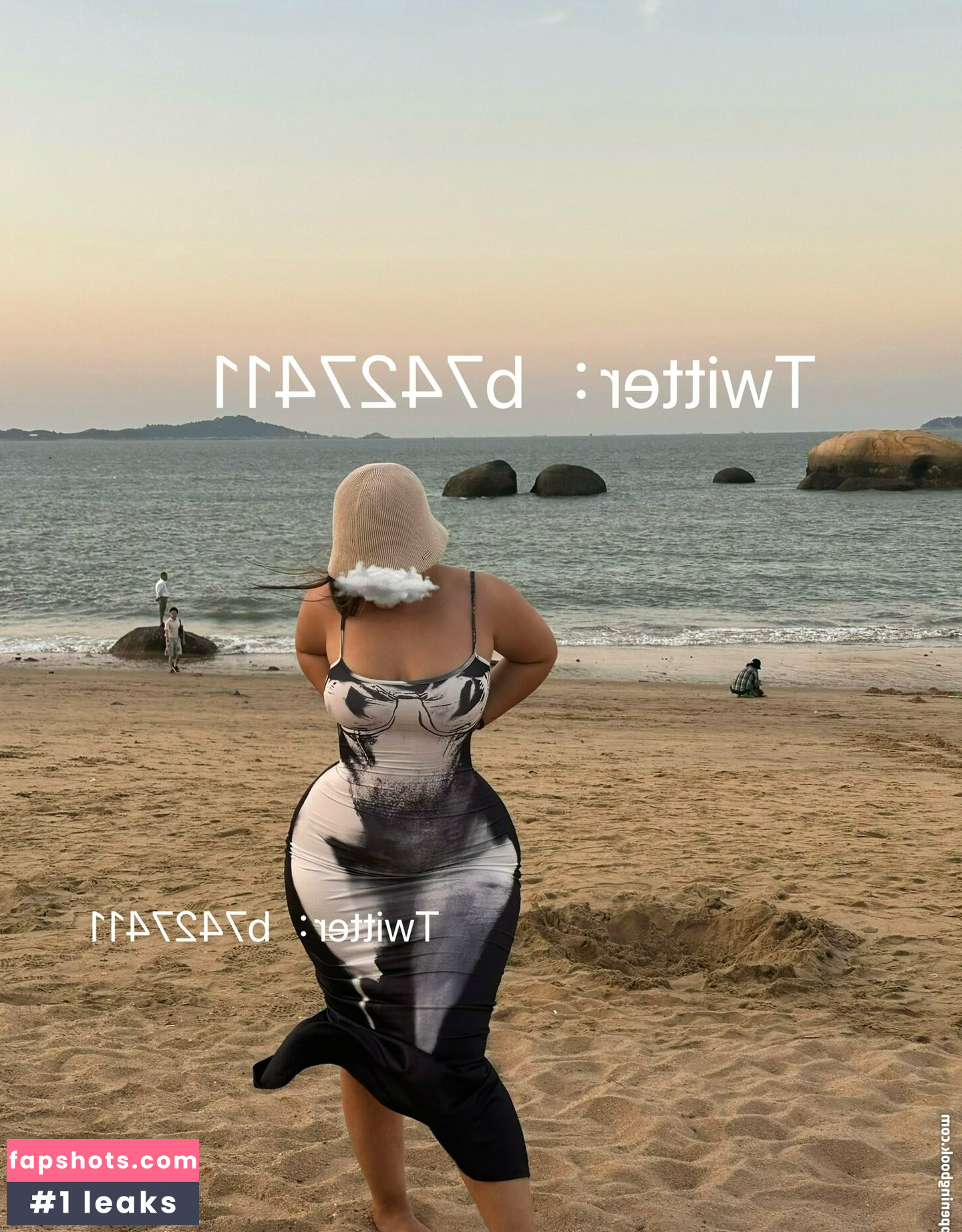 B742741 gallery photo #33