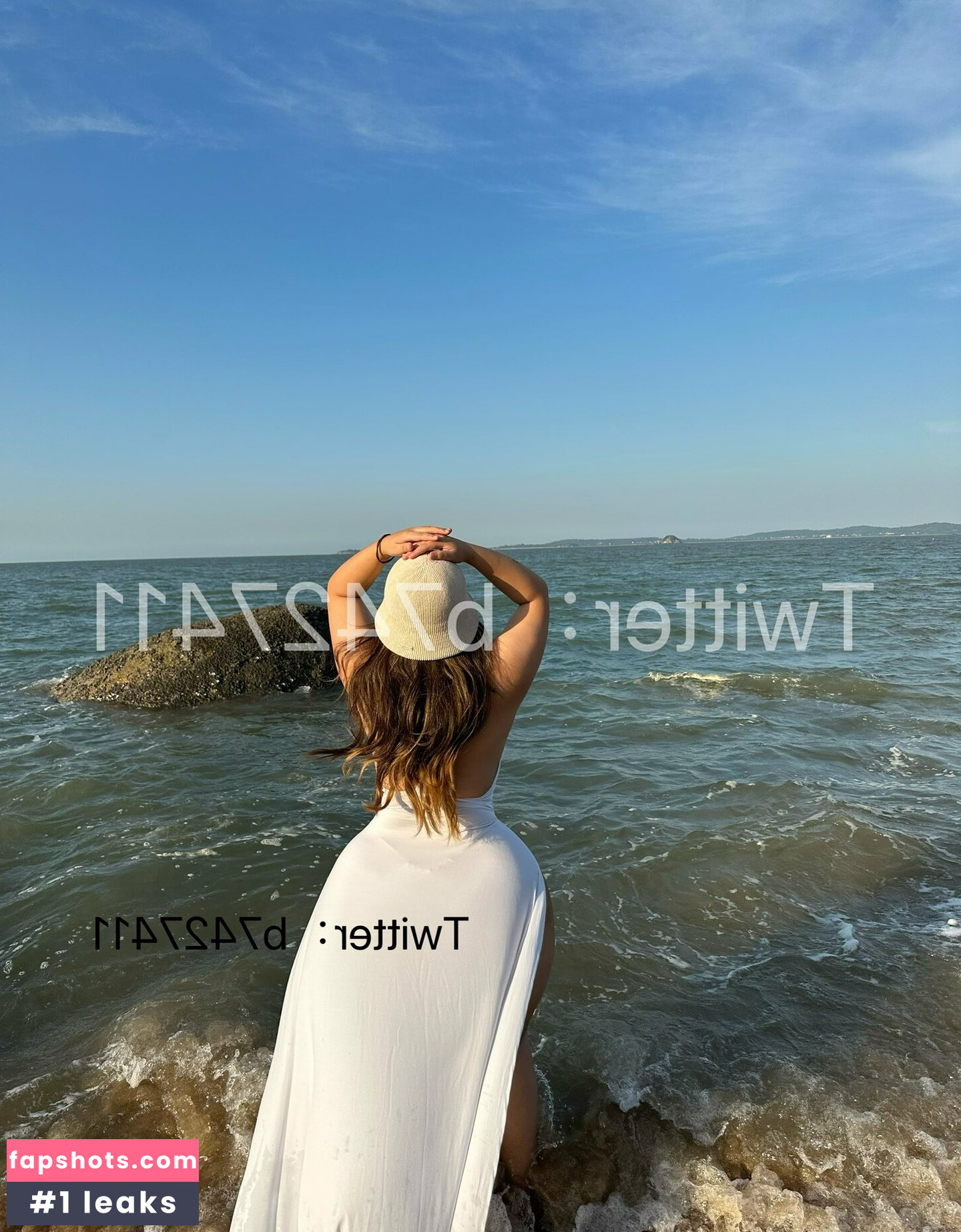 B742741 gallery photo #35