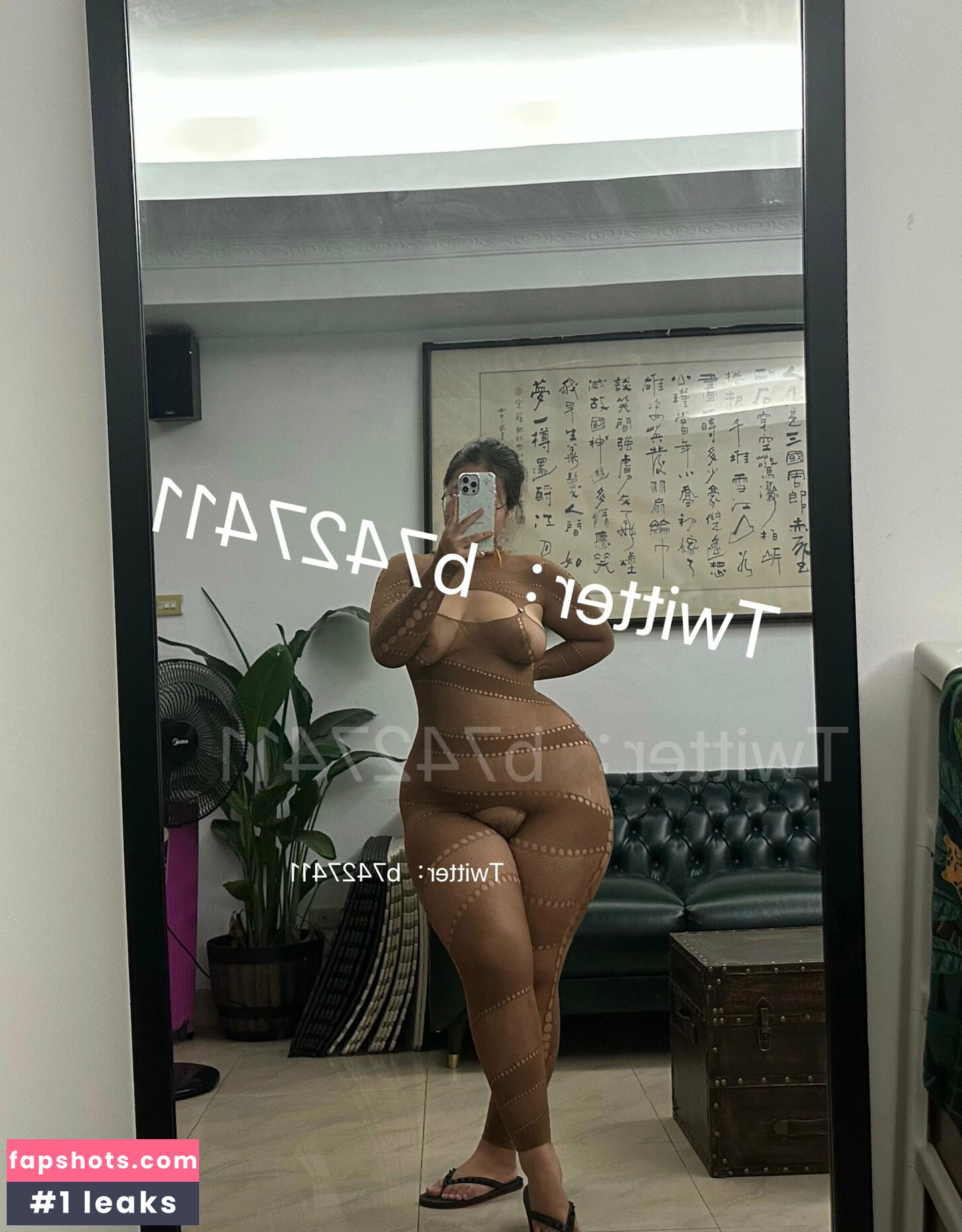 B742741 gallery photo #39