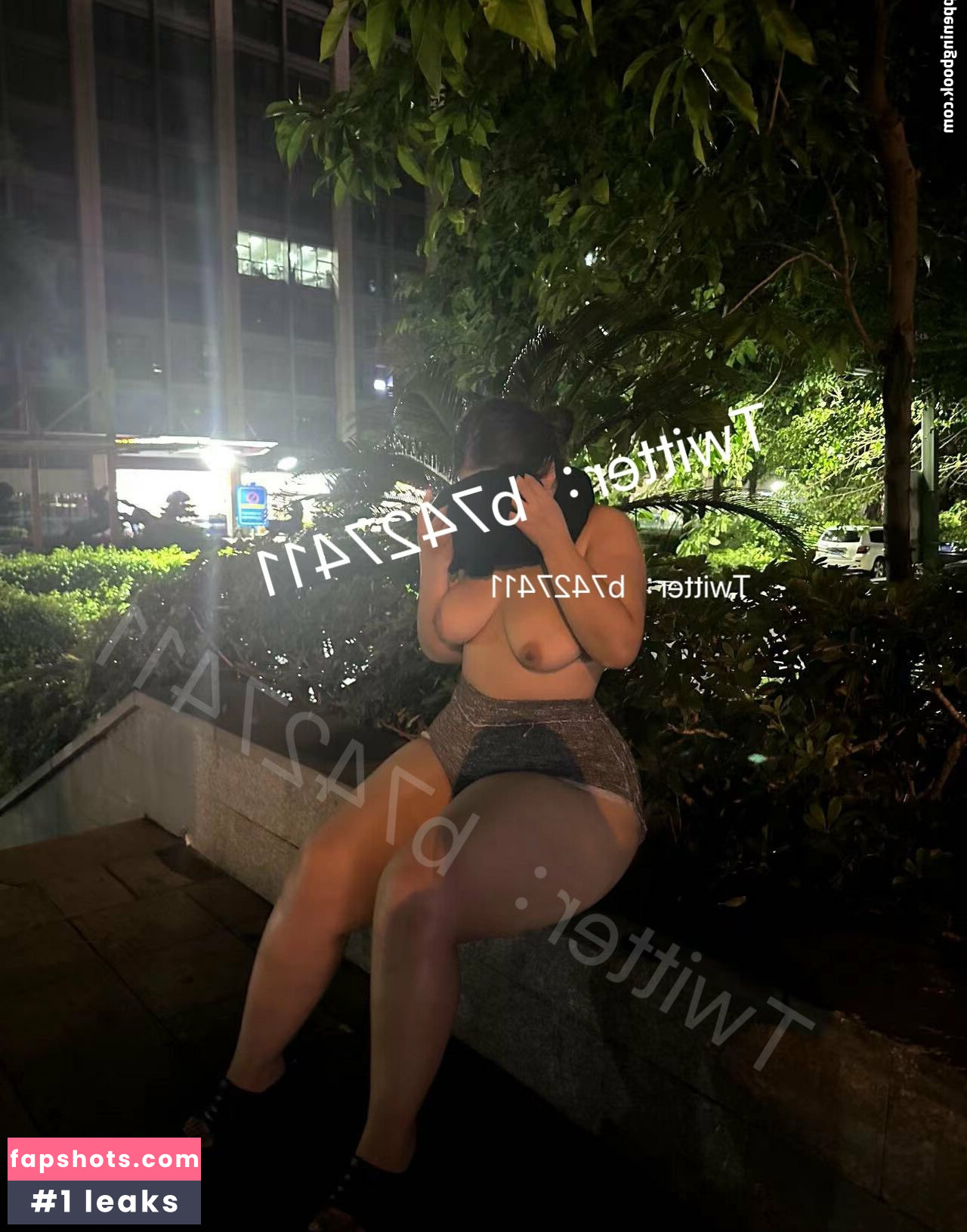 B742741 gallery photo #41