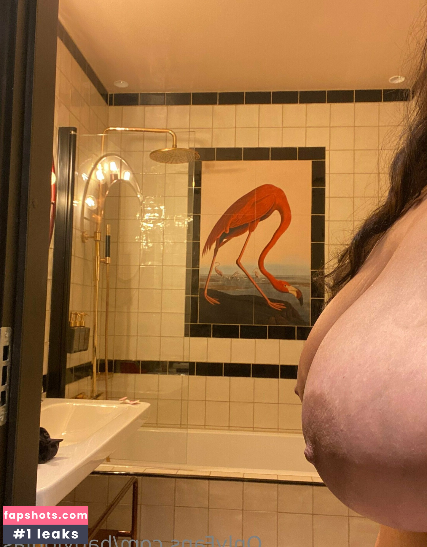 babylonias gallery photo #12