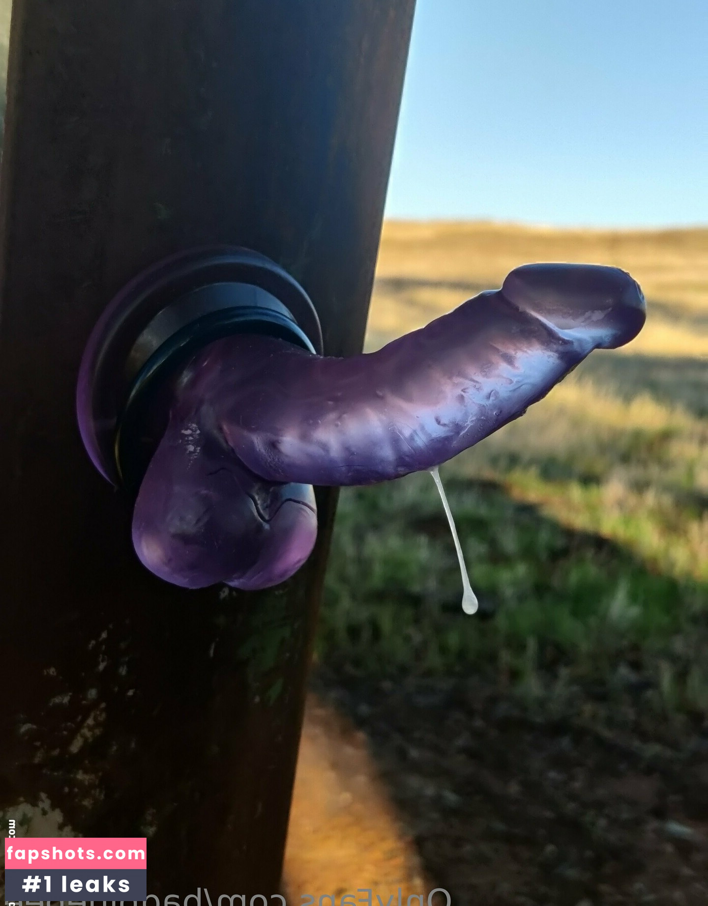 badbluebee gallery photo #9