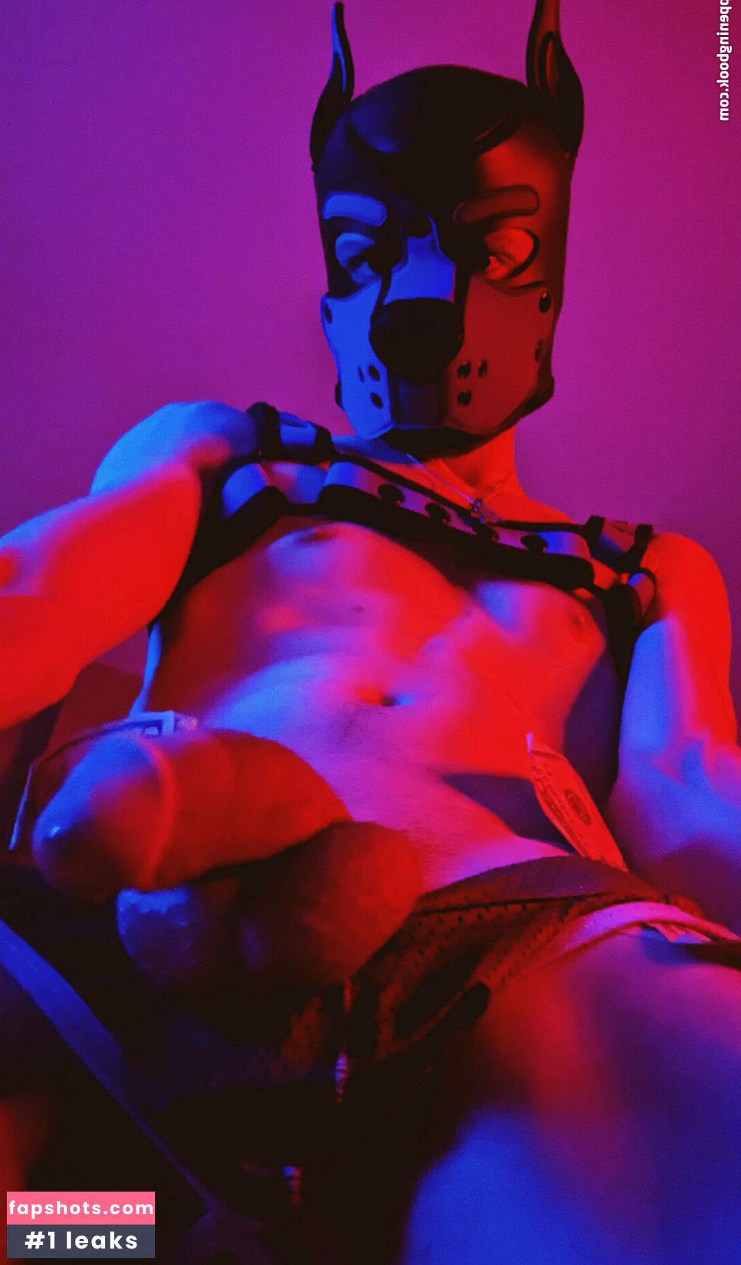 badboxerboy gallery photo #2