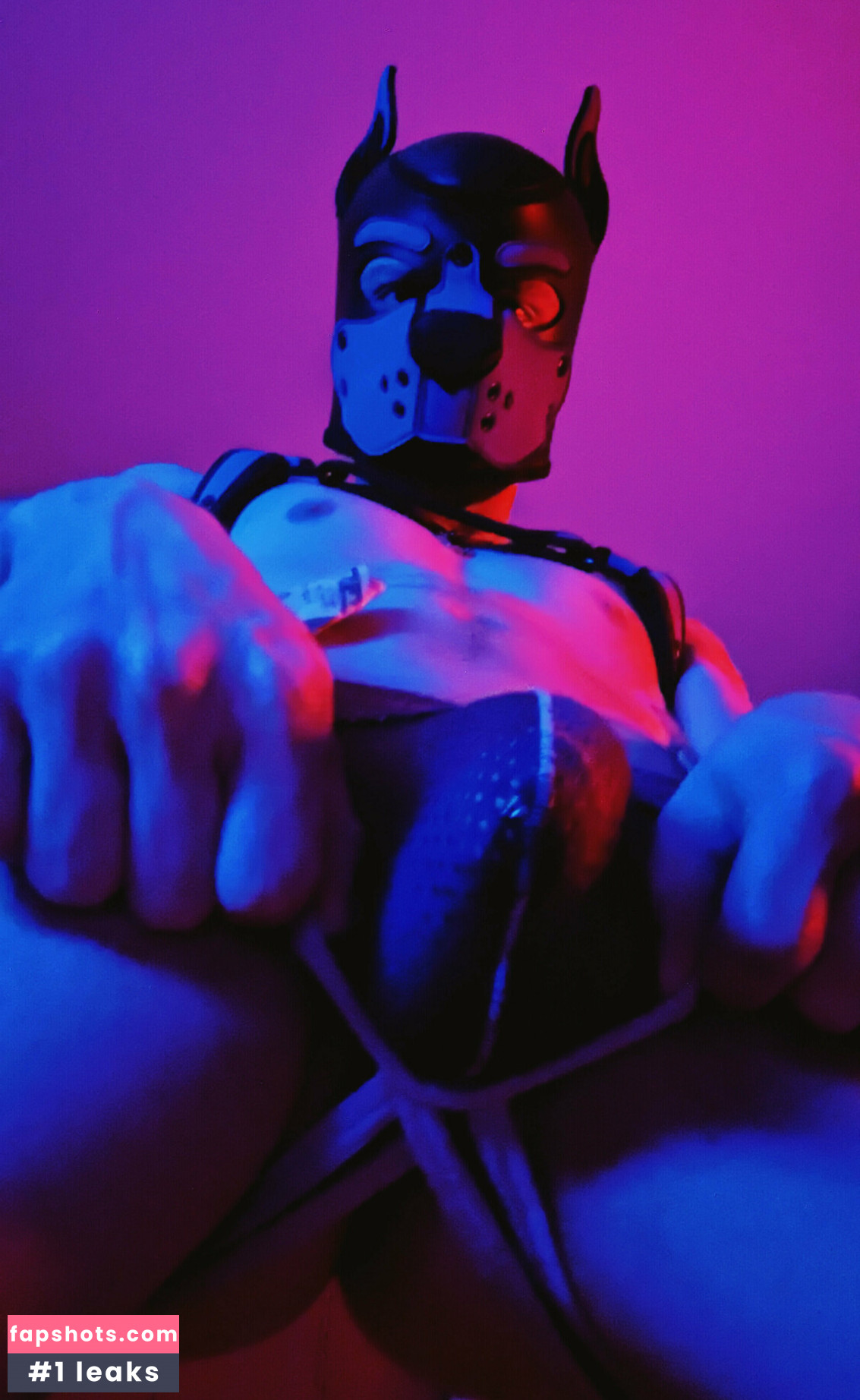 badboxerboy gallery photo #19