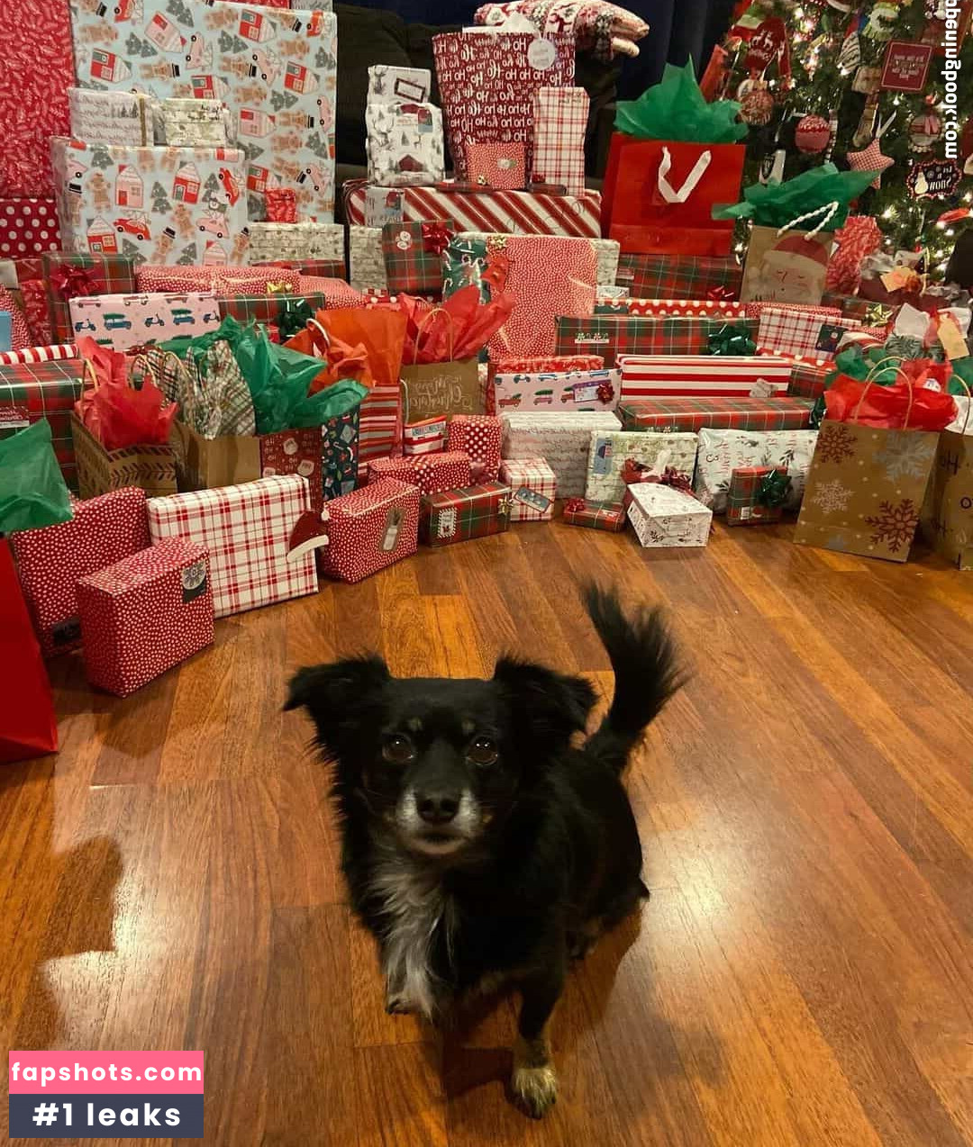 Baddie Madi nude babe gallery