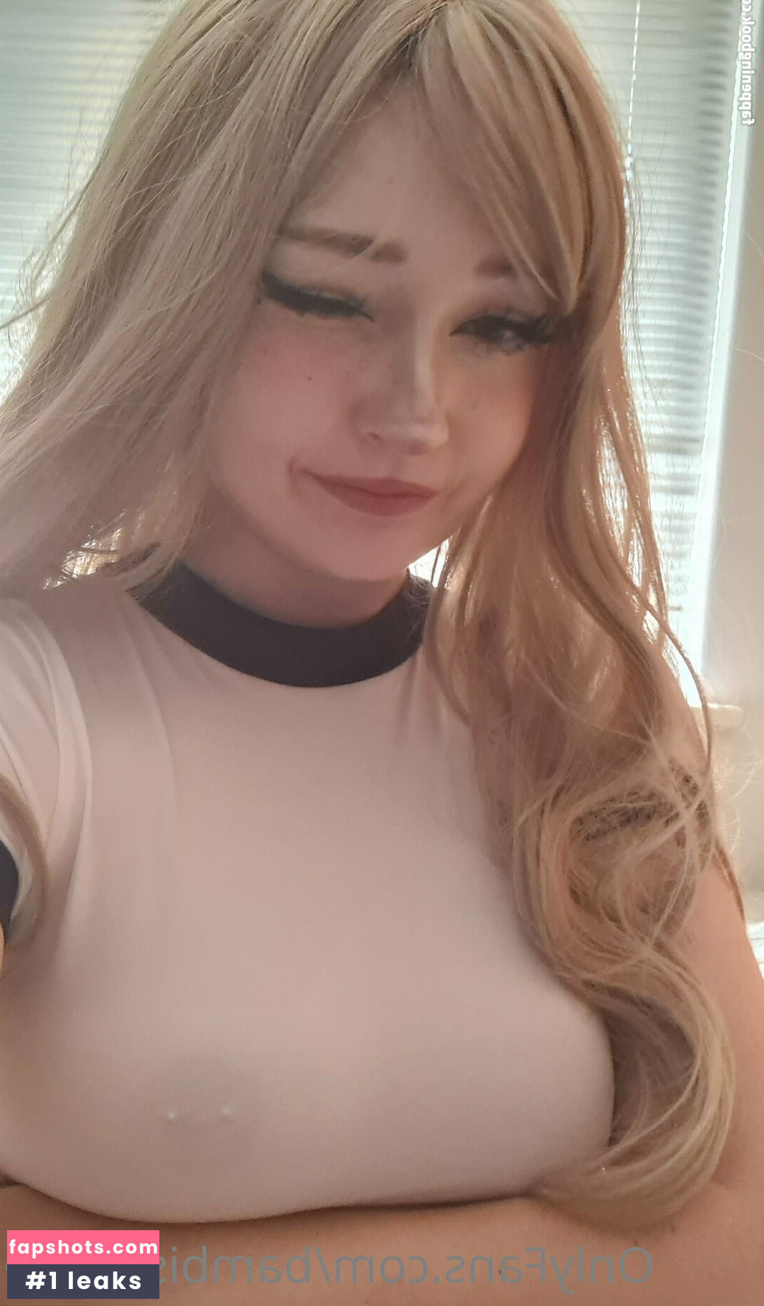 bambiskiifree gallery photo #23