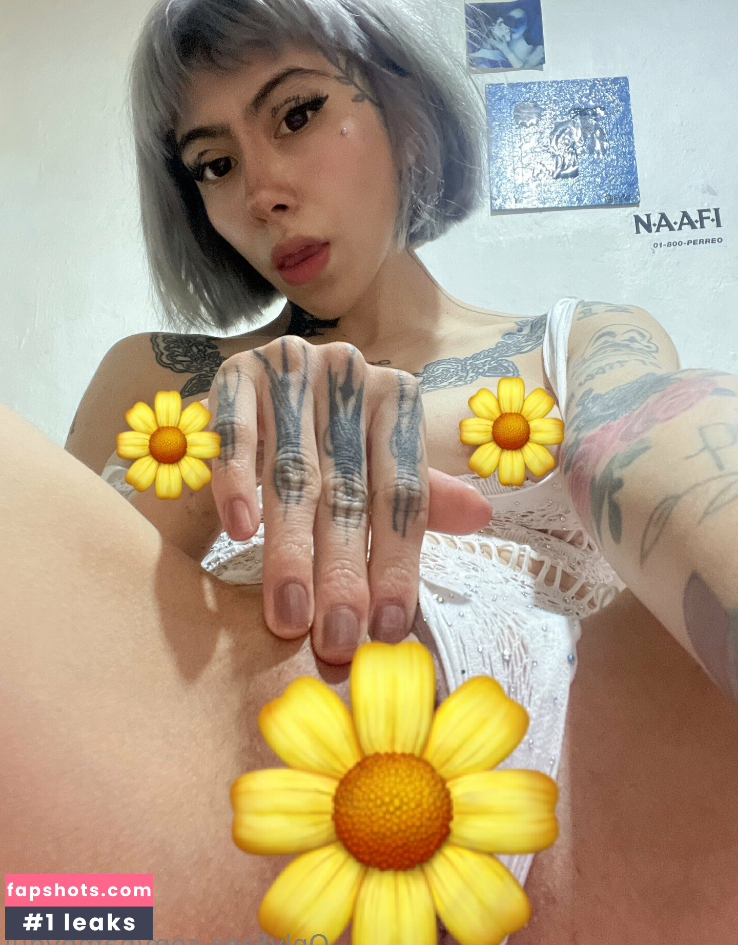 bambydul gallery photo #5