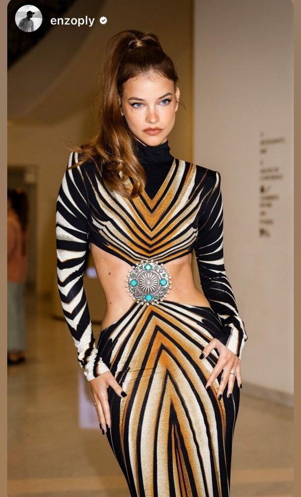 barbara-palvin gallery photo #658